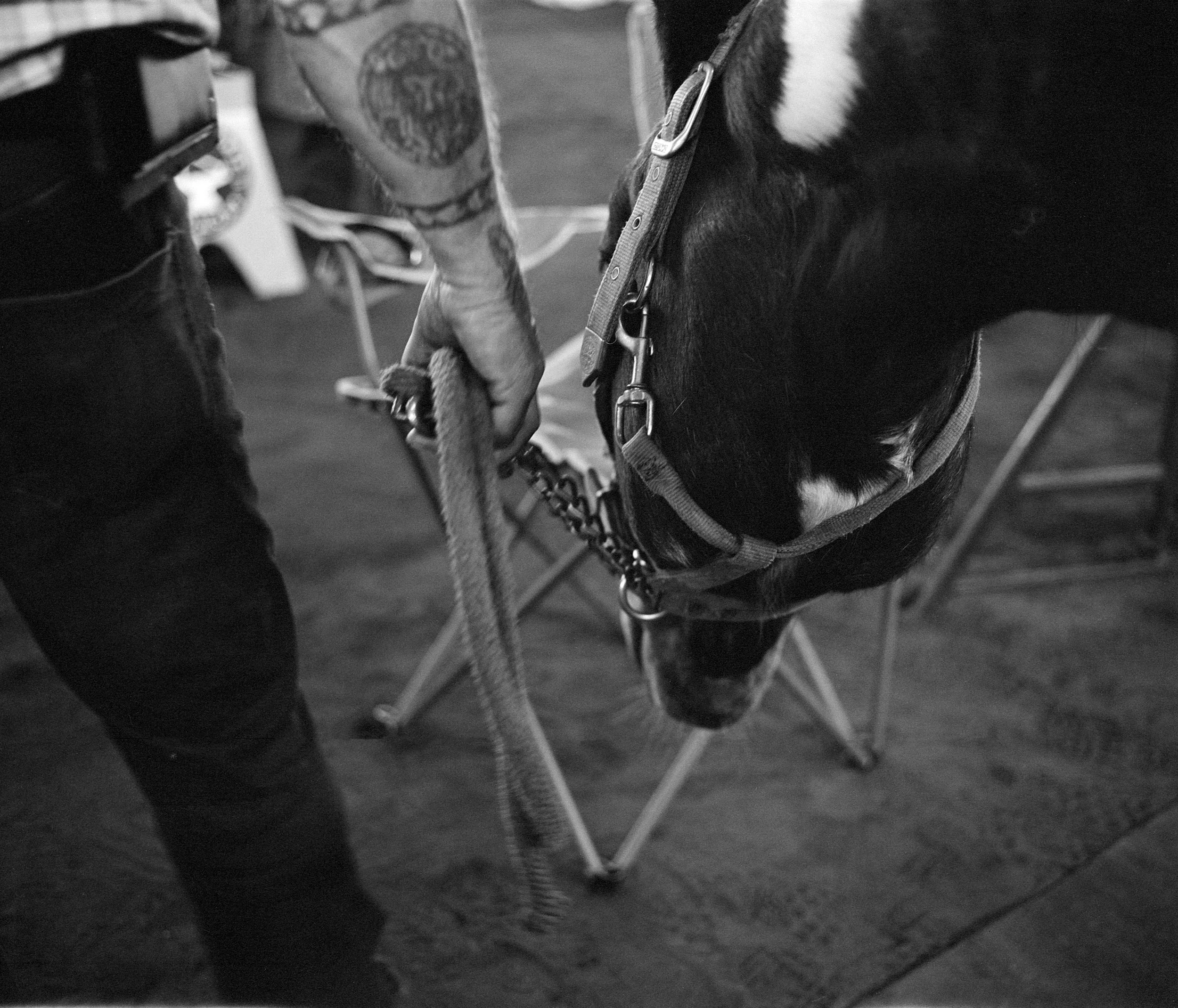 coupedesmaitres_022 copie 2.jpg