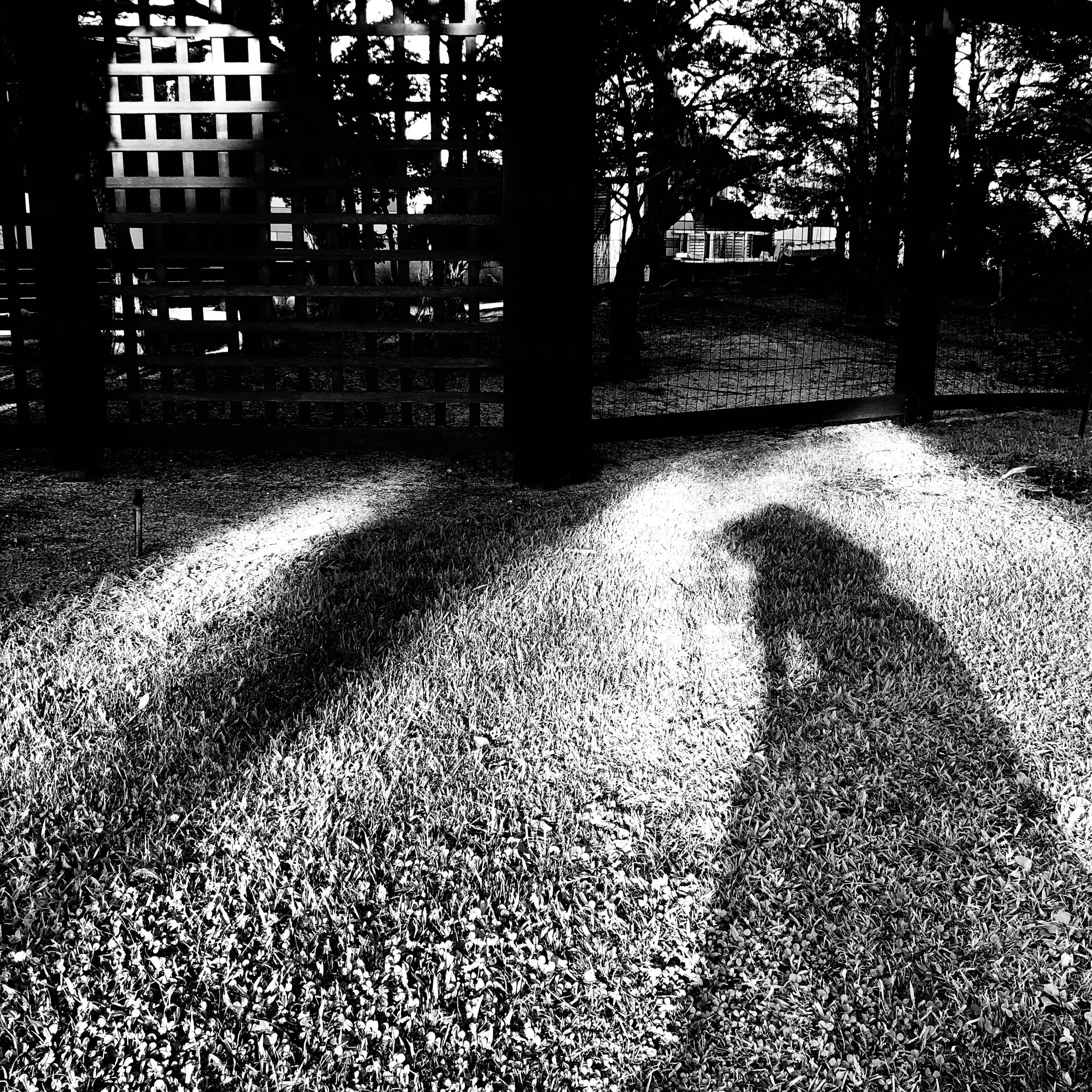 Silhouettes of two people cast shadows on a well-maintained grassy lawn, with a wooden fence and trees in the background.