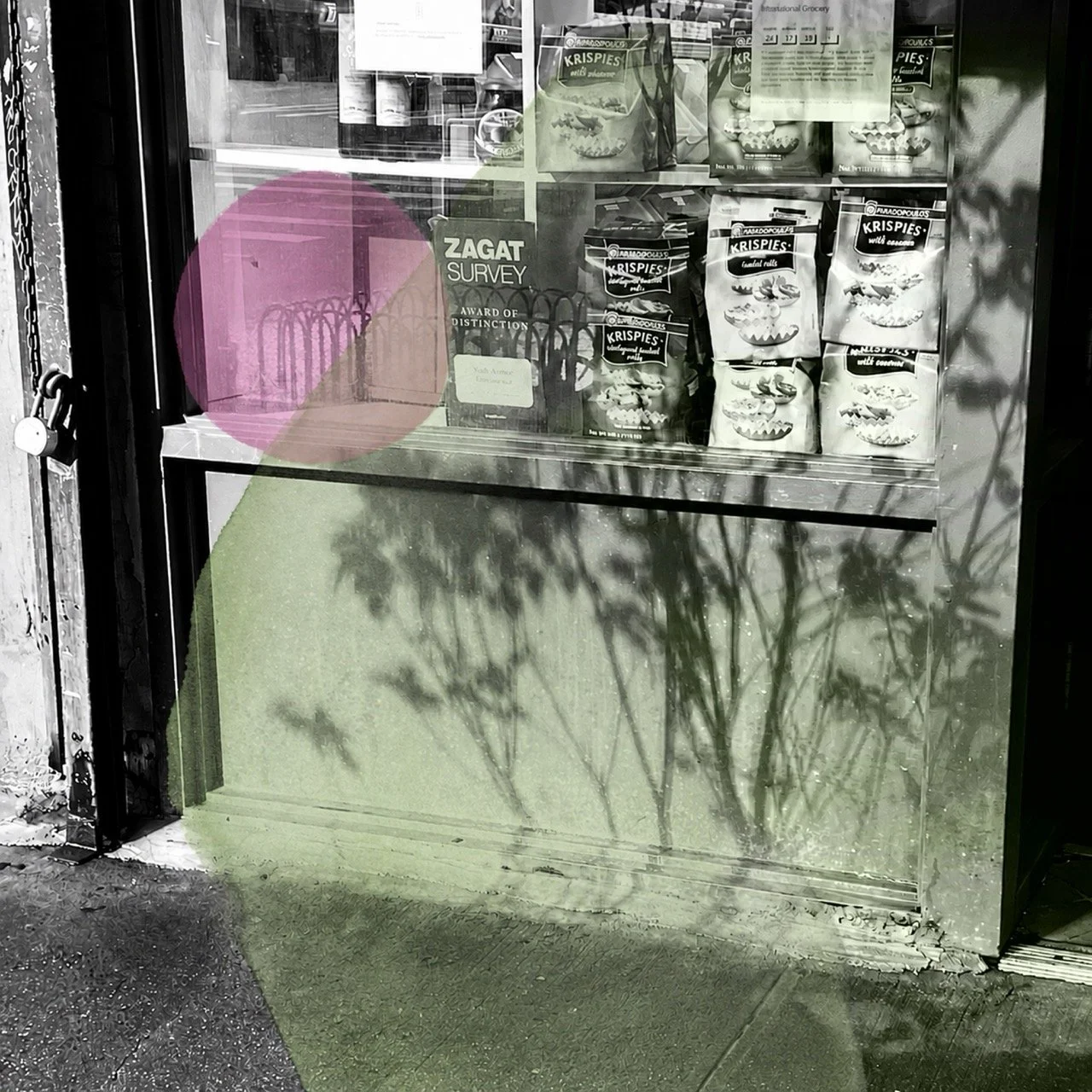 Bodega Bushes_Large.jpeg