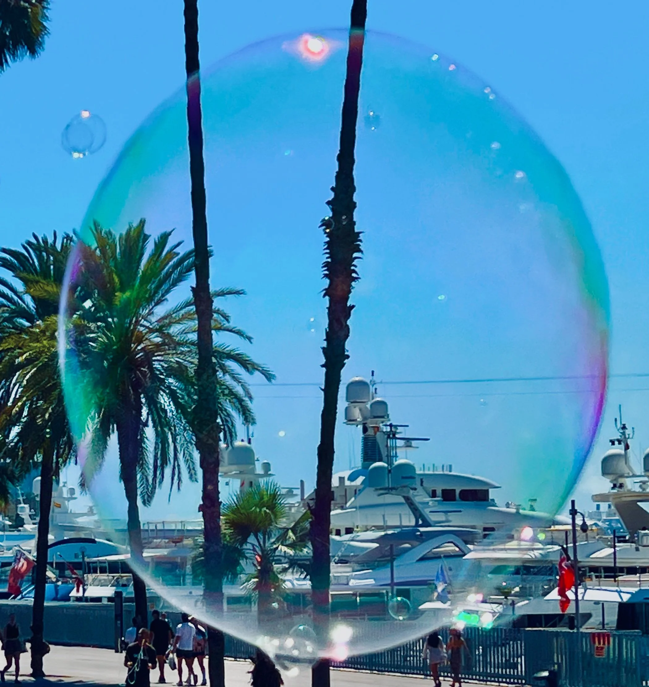 A large soap bubble floating in front of a marina with yachts and sailboats, tall palm trees, and a bright blue sky.