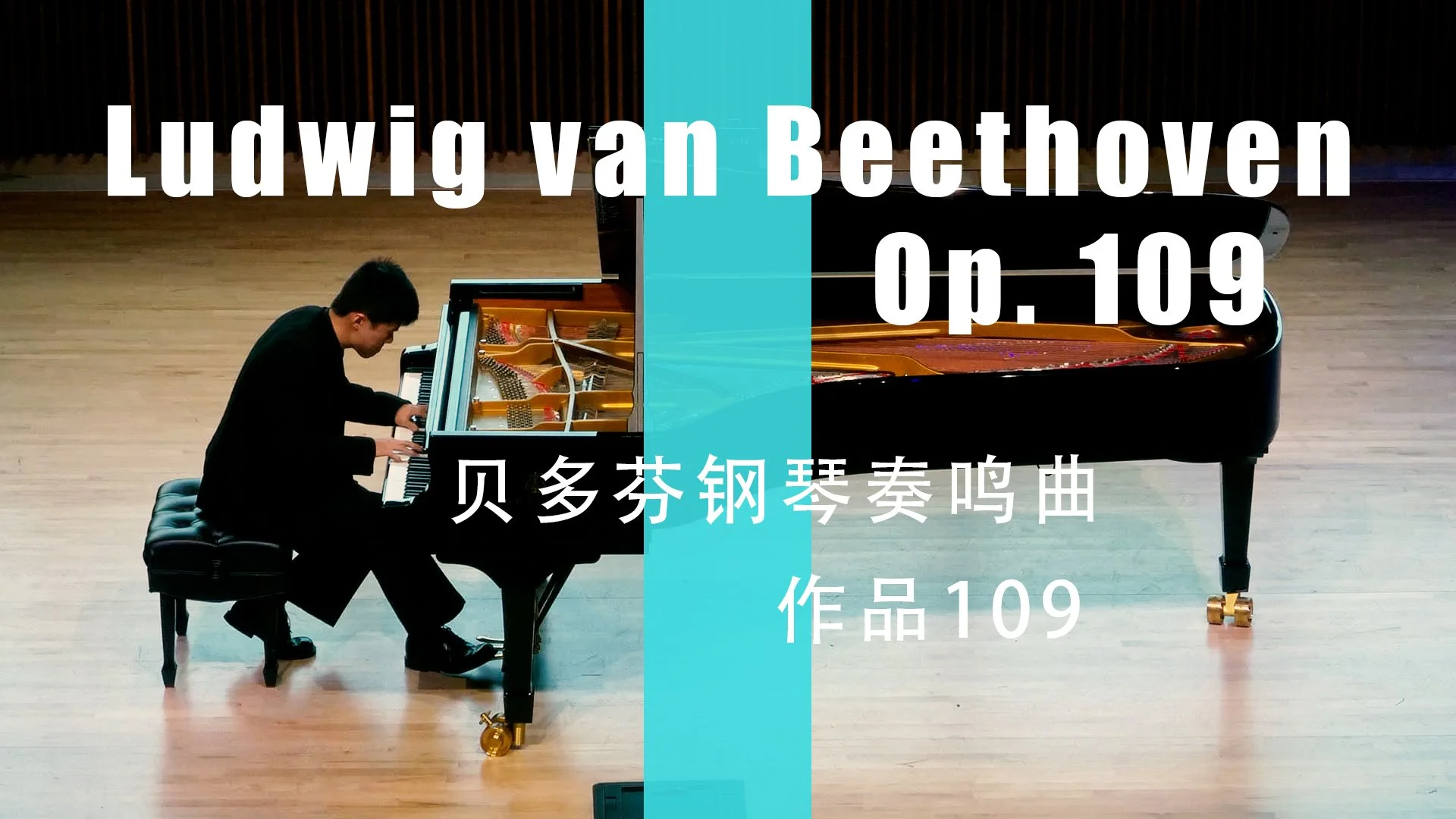 Beethoven Piano Sonata Op. 109