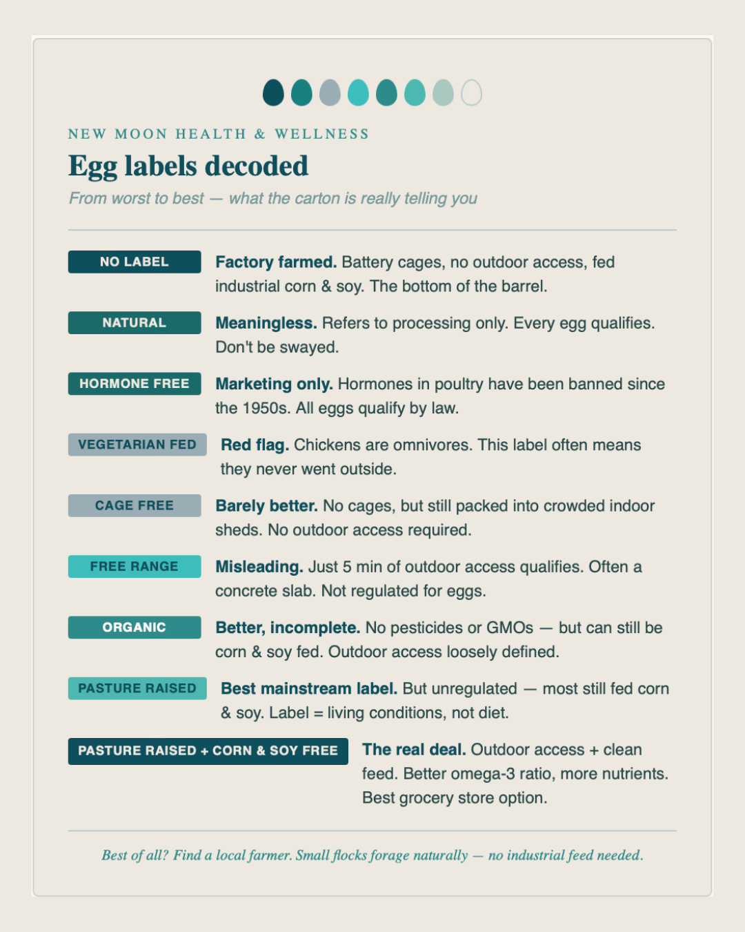 Why Local Eggs Matter and How To Decode The Labels on Egg Cartons  