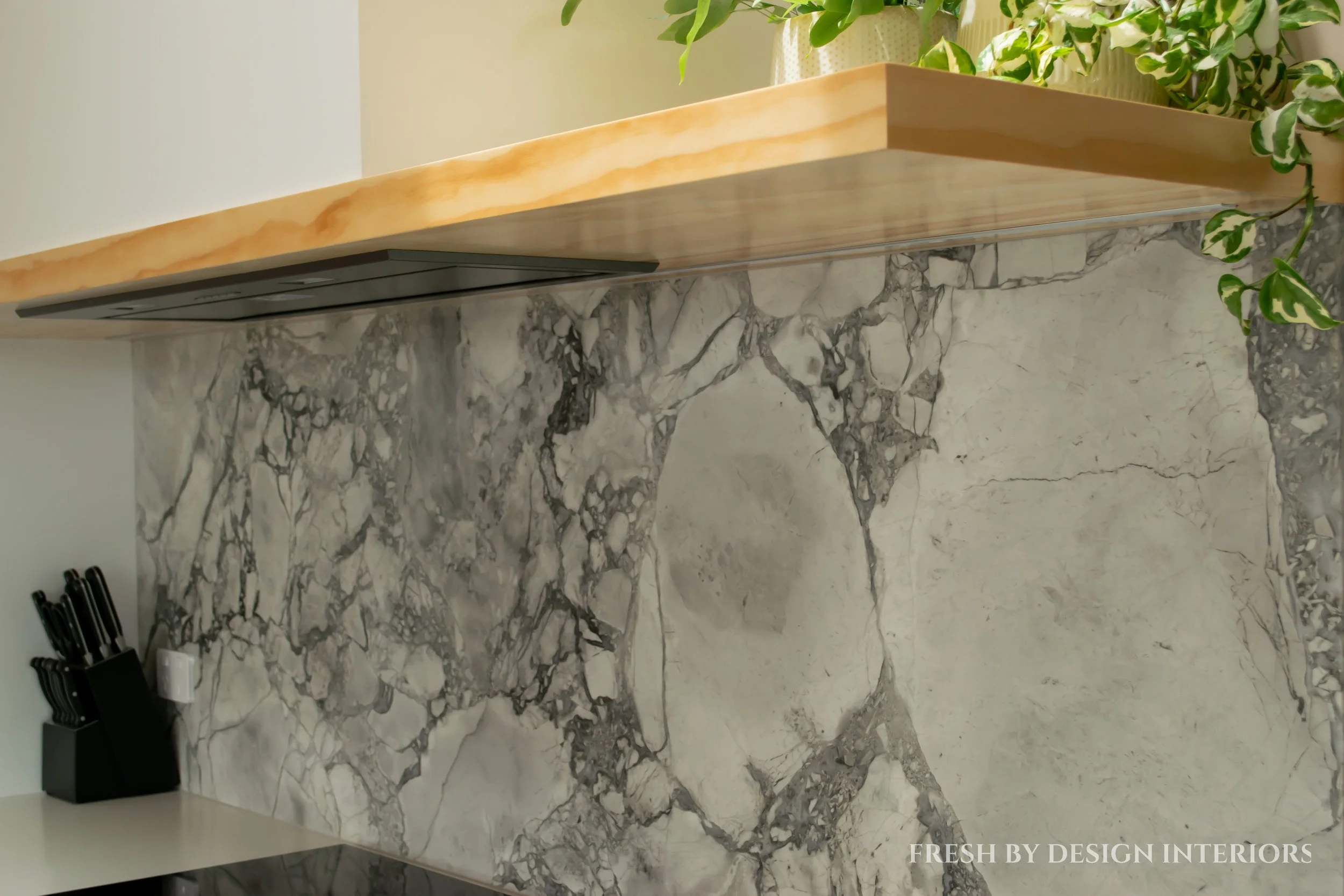 Do You Really Need A Rangehood? The Importance of Choosing the Right