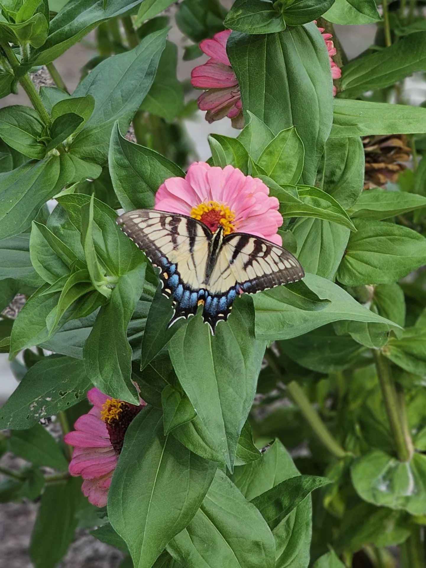 Spring Equinox Retreat