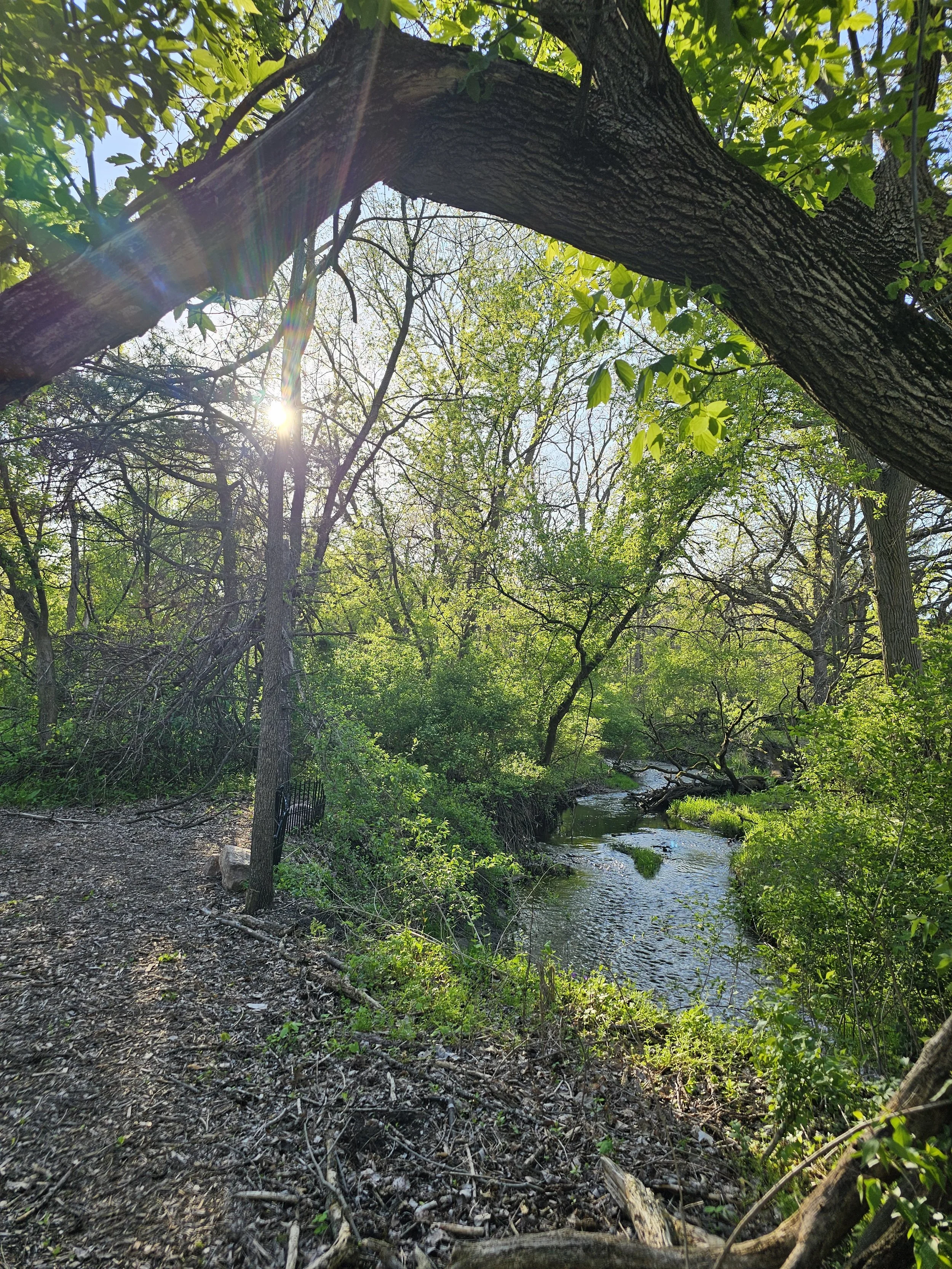 20260503_180724.jpg