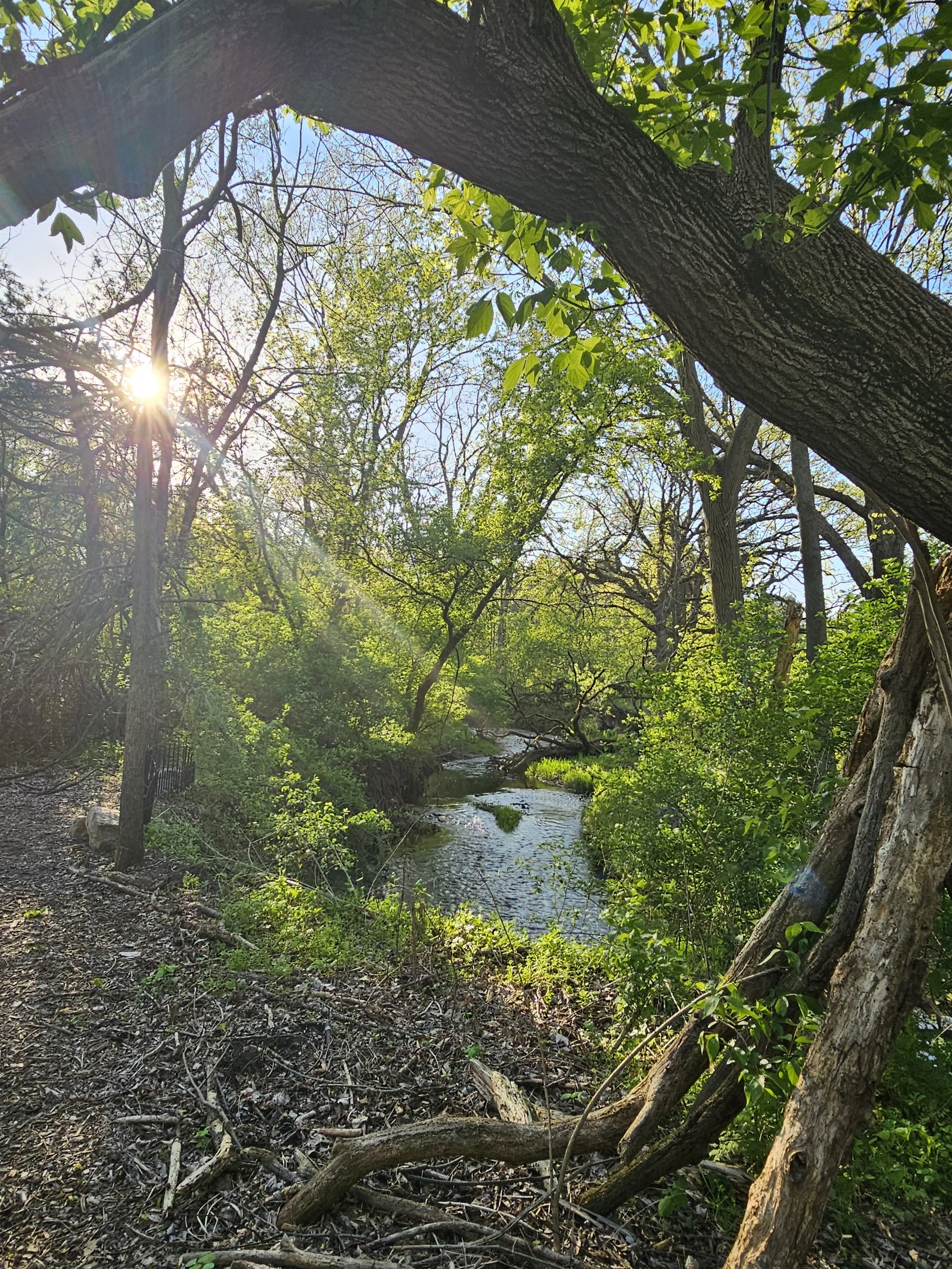 20260503_180735.jpg