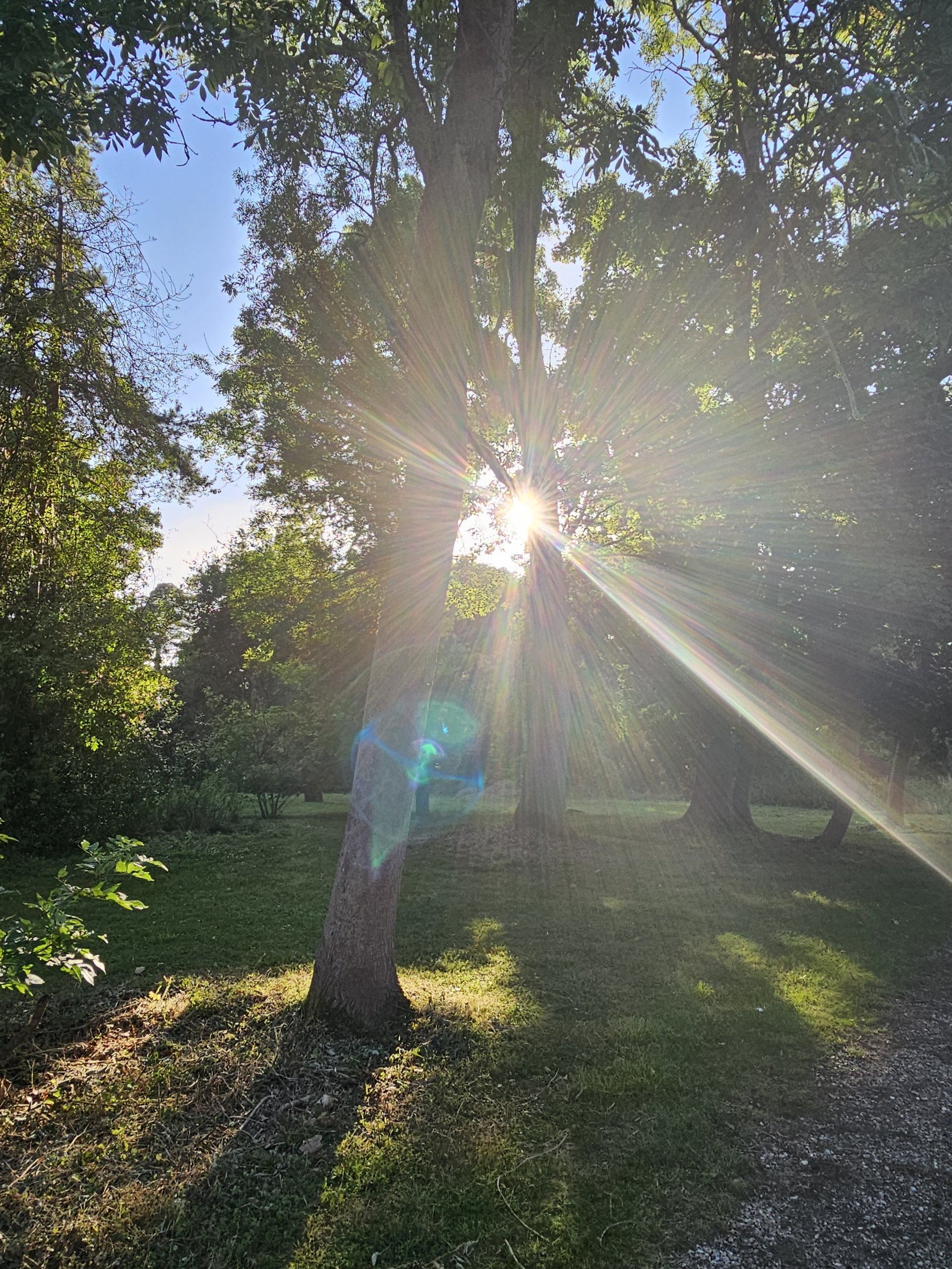 Interdimensional light beings