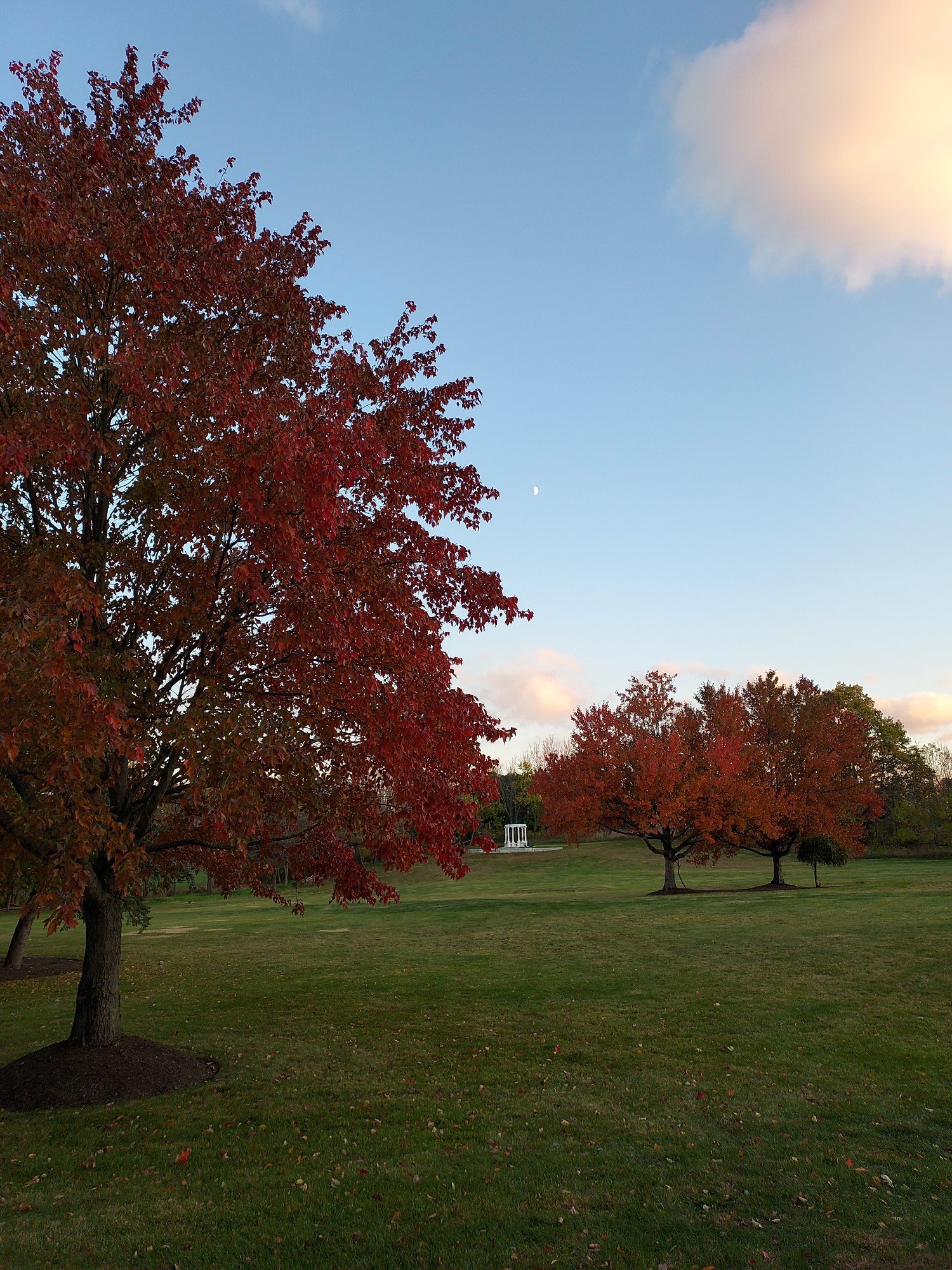 Resized_20251029_173906 (1).jpeg