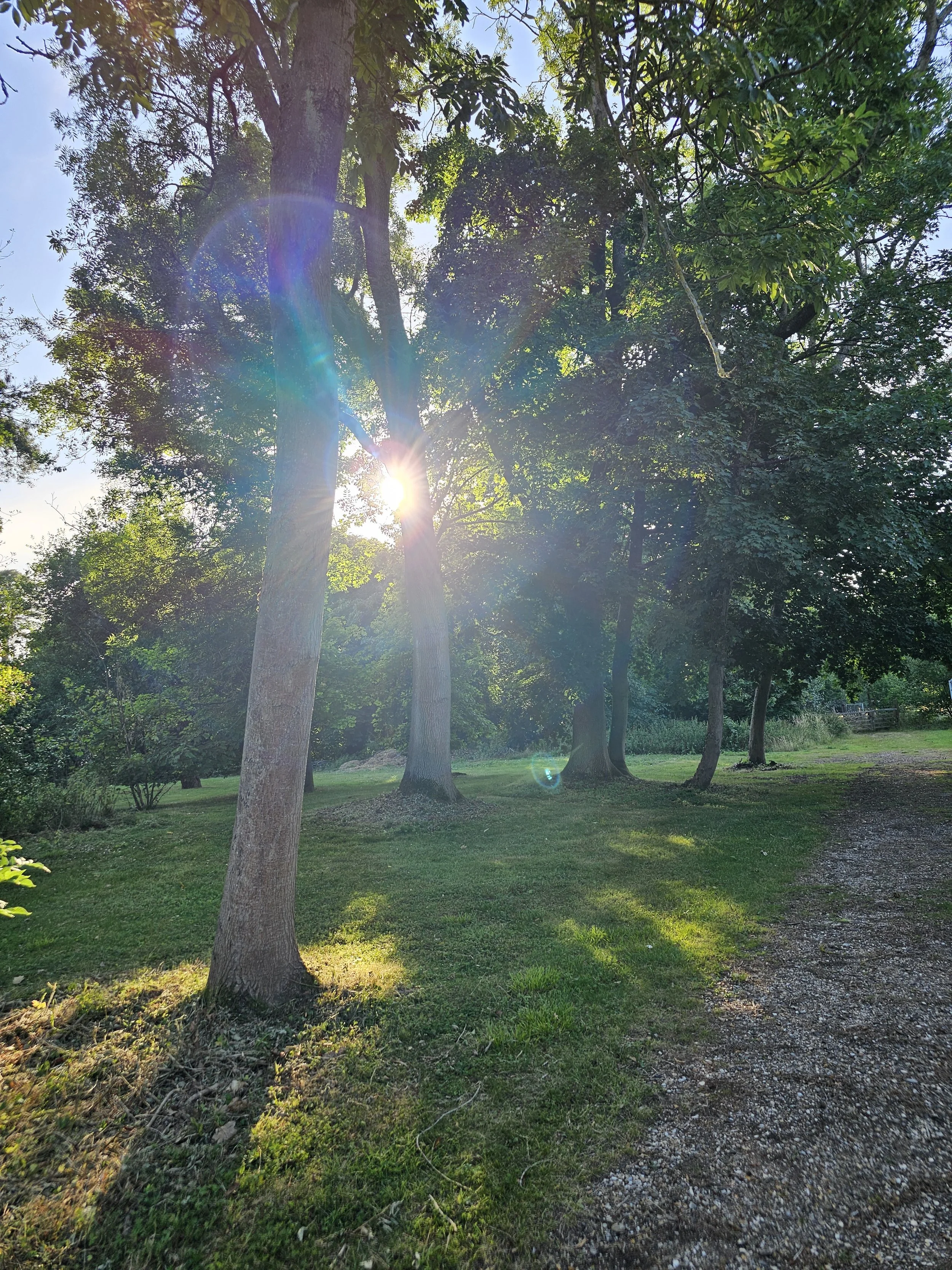 Elementals coming out of the trees