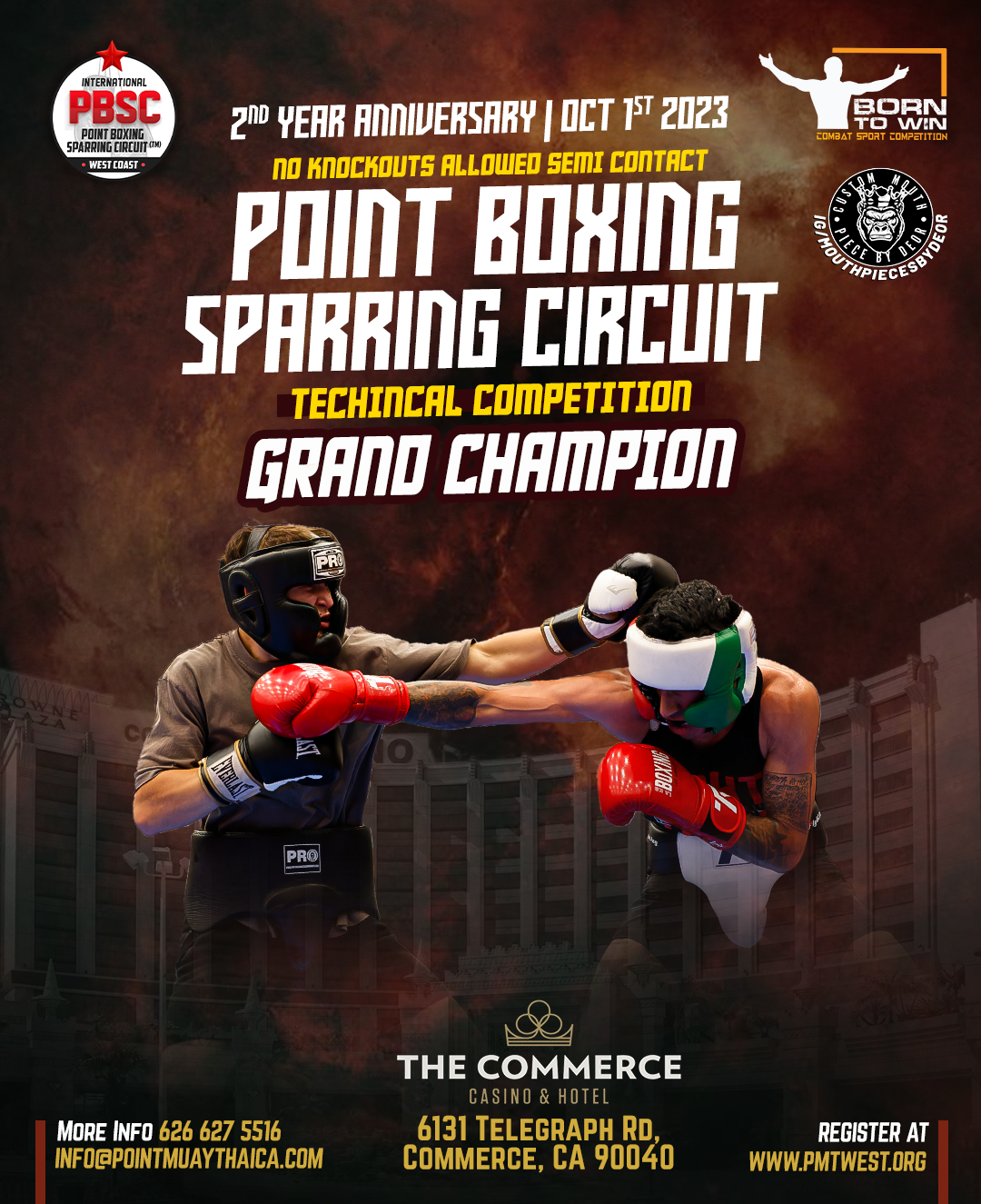 Point Boxing Sparring Circuit