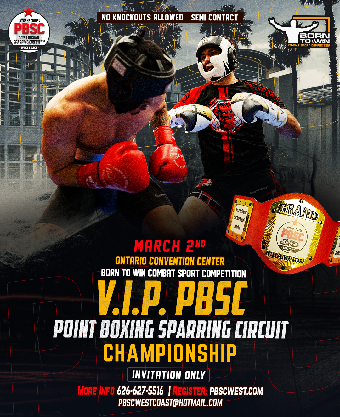 Point Boxing Sparring Circuit