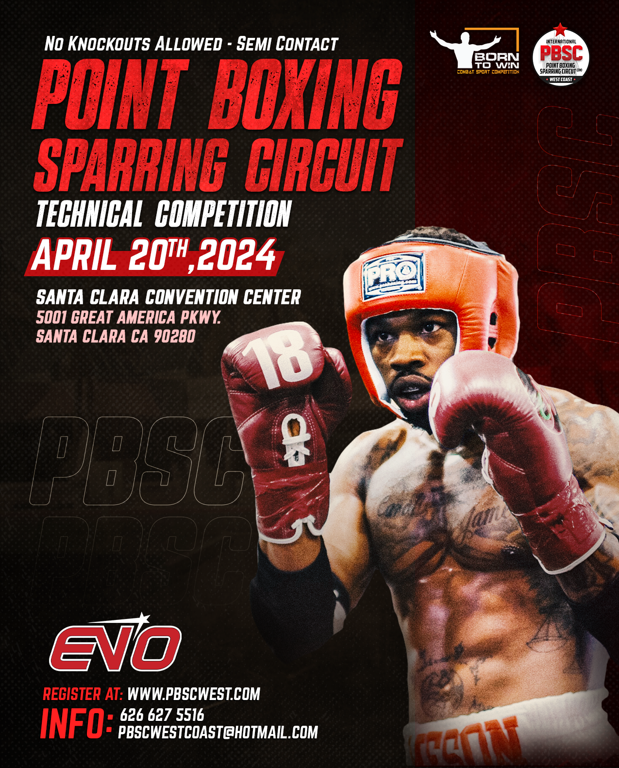 Point Boxing Sparring Circuit