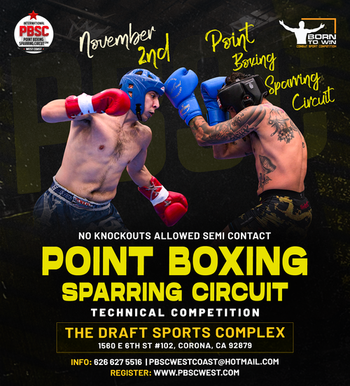 Point Boxing Sparring Circuit