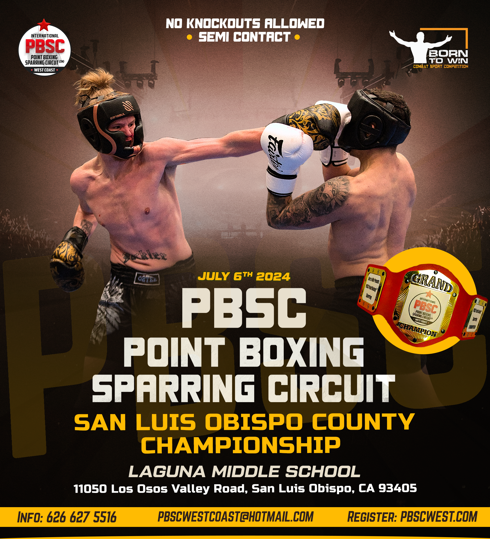 Point Boxing Sparring Circuit