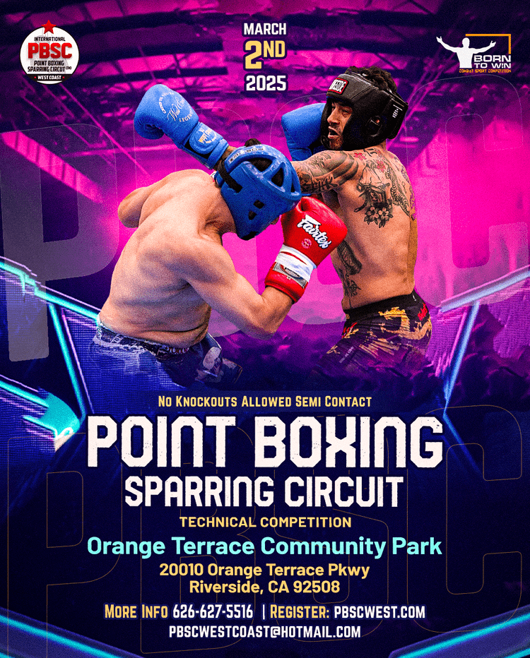 Point Boxing Sparring Circuit