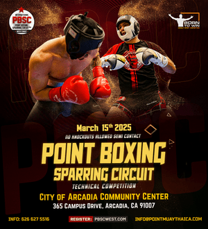Point Boxing Sparring Circuit