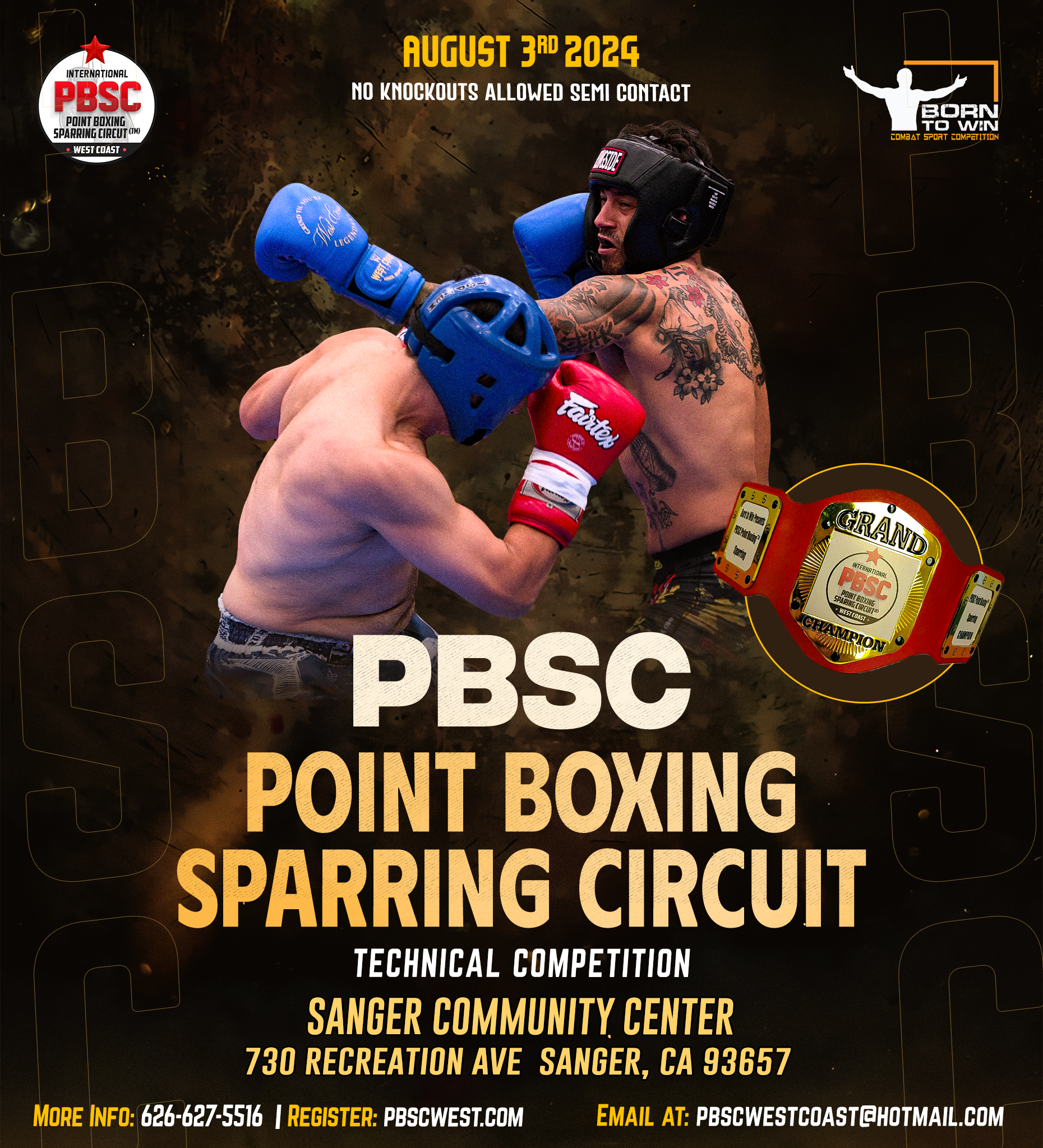Point Boxing Sparring Circuit