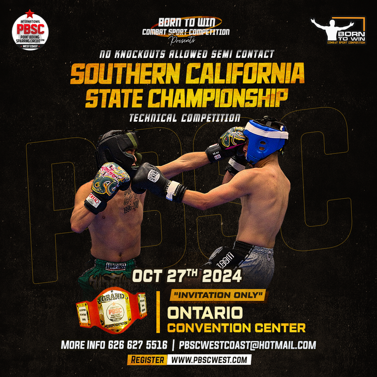 Point Boxing Sparring Circuit