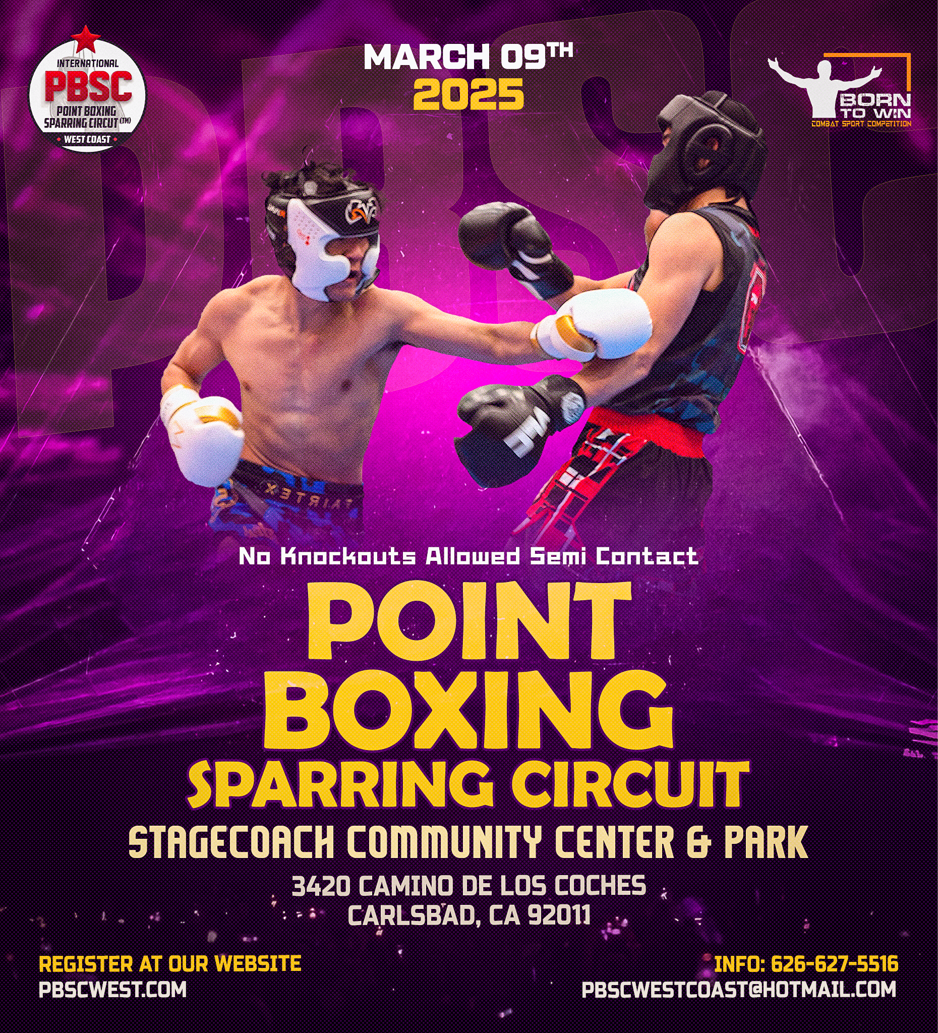 Point Boxing Sparring Circuit