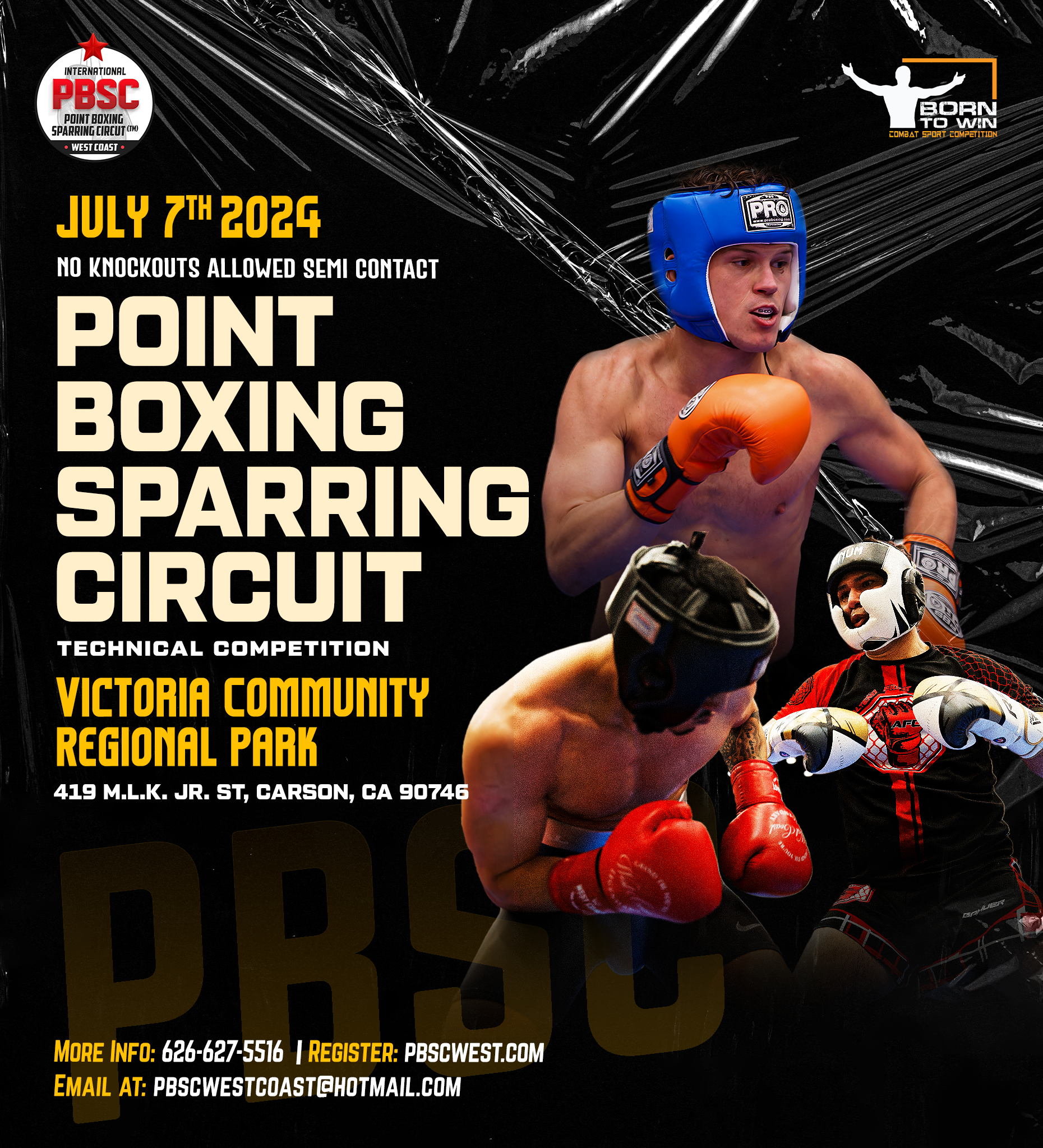 Point Boxing Sparring Circuit