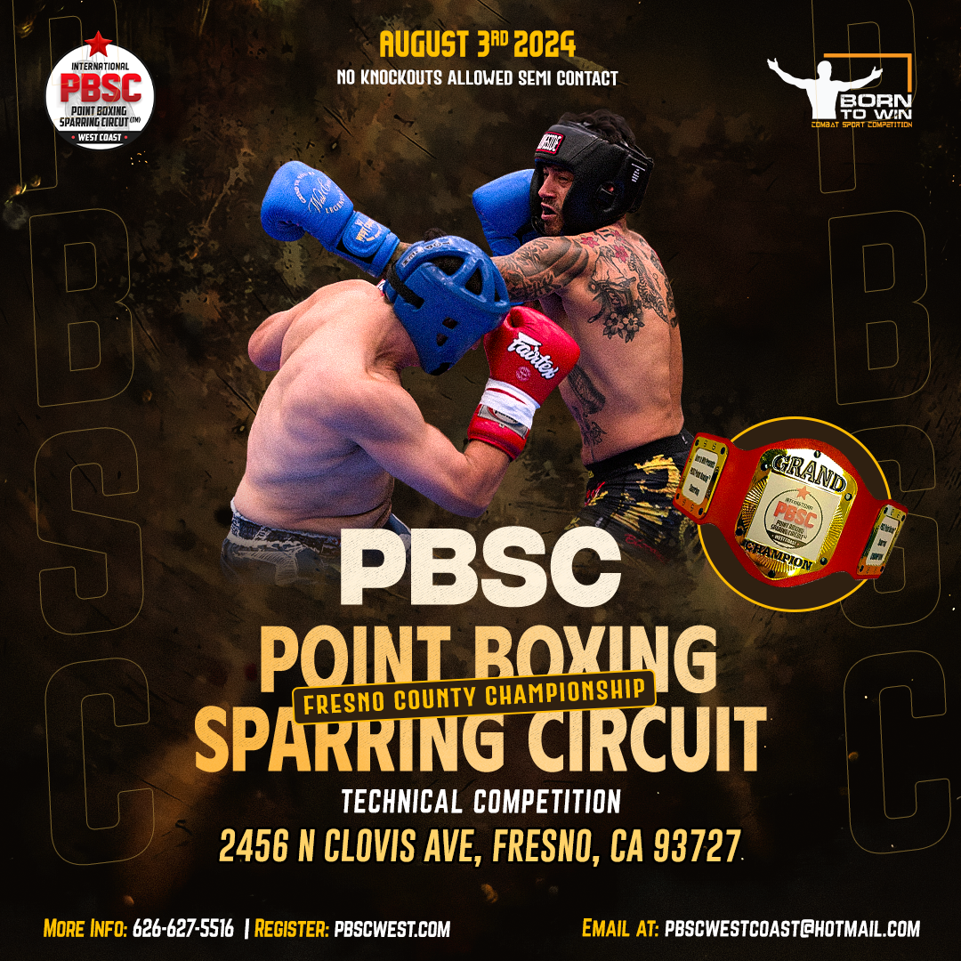 Point Boxing Sparring Circuit