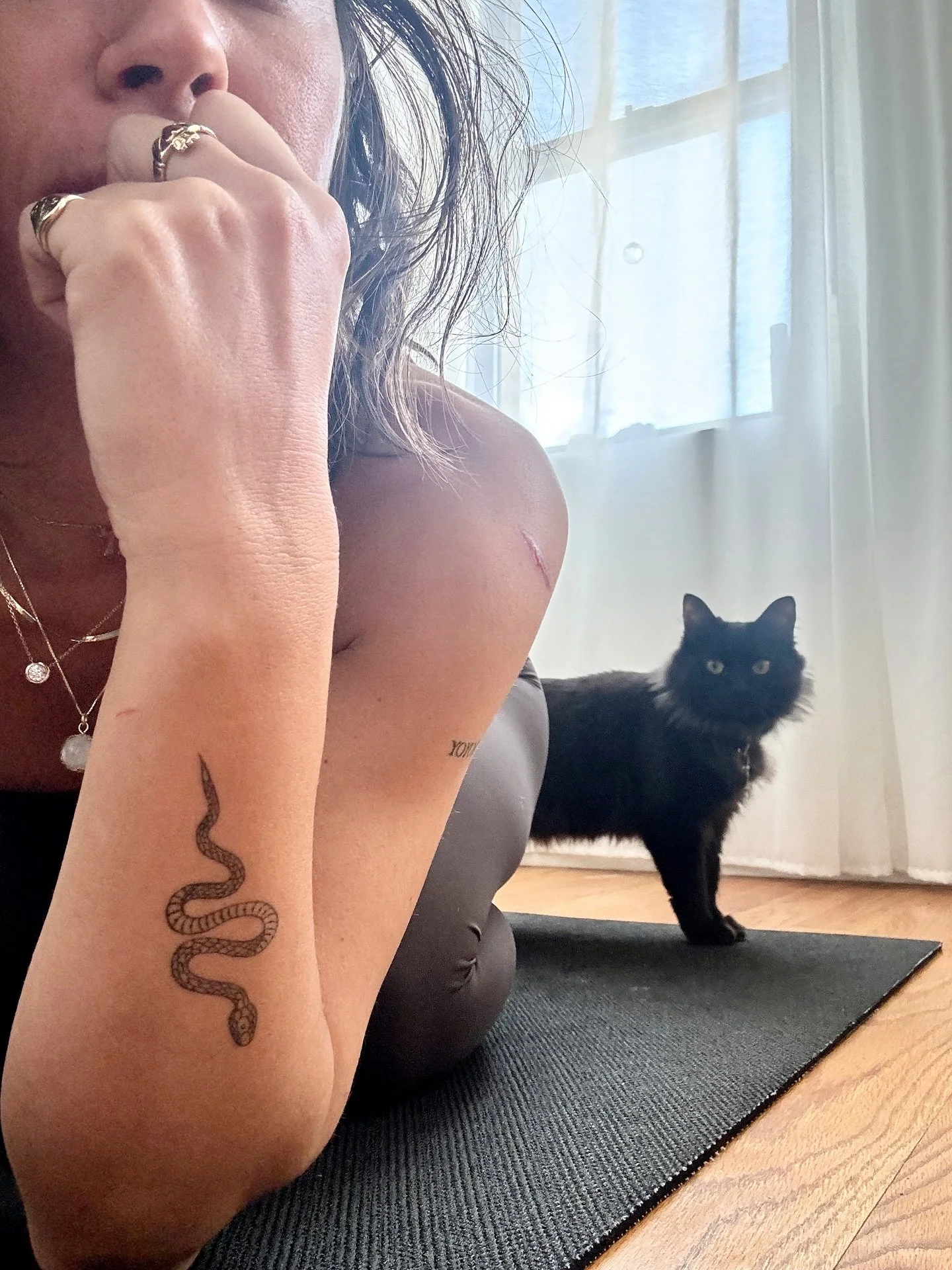 It&rsquo;s Brigid&rsquo;s gotcha day! 

I don&rsquo;t know her age, so we (she and I, lol) celebrate today as her birthday. It was the start of her new life, at least, and she does have some major, major virgo energy. 

Named for the Celtic goddess o