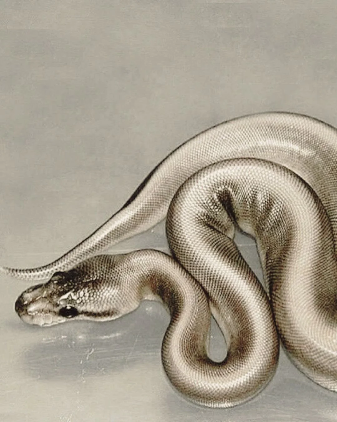 Winter Solstice ❄️

1. Unknown, Pinterest
2. @mystical.kink 
3. Unknown, Pinterest
4. @amandanorgaard_ 
5. @parisianvibe 
6. Unknown
7. @helendenham_ 
8. @girliebrainrot 
9. Unknown, Pinterest 
10. @archiveofamelie 
11. @backfromtheborderline 
12. Un