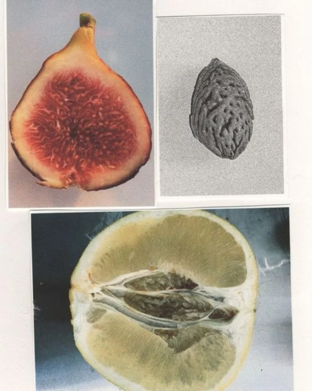 Rest your eyes here/a visual meditation vol. 001

Sources:
1. Unknown
2. Octavia Butler&rsquo;s journal
3. George Schneeman
4. Unknown
5. Unknown
6. Alessandra Berardi Arrigonni, Marina Marcolin
7. Uknown
8. @xavierborgmontesin
9. @korinawray
10. Unk