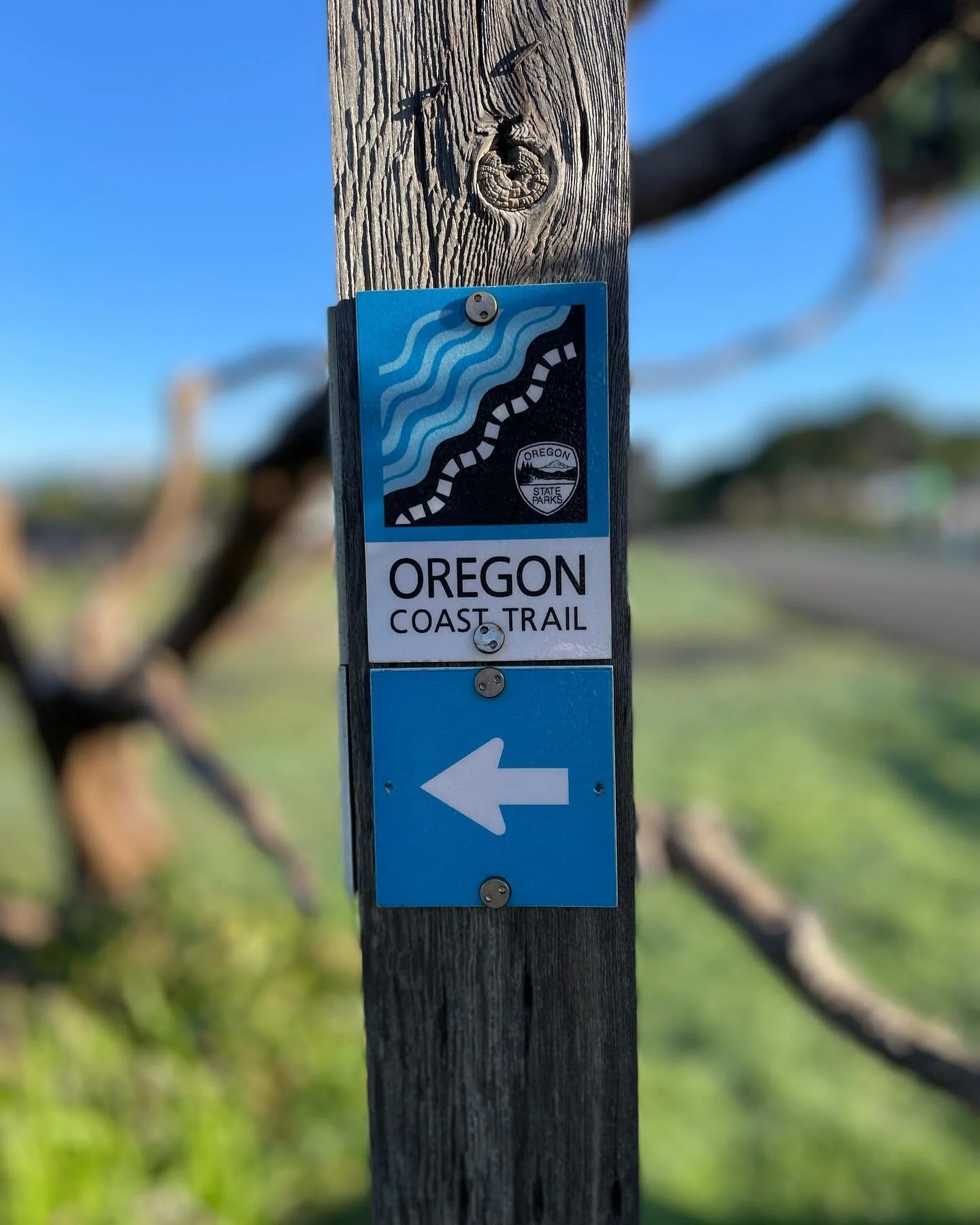 Yachats Mushroom Treasure Hunt

2/24/24 Mushroom Treasure Hunt Hint:
Please always look 👀 around at the signs posted on every trail! 

Responsible recreation is key. Respect the earth beneath your feet and tread lightly. These mushrooms are only fou