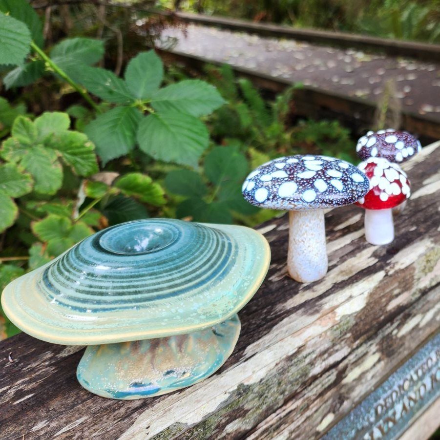 Tomorrow, Saturday, March 2 is our last Yachats Mushroom Hunt of the Season!
The Trail Gnomes will go into hibernation until fall.  So, get out and explore some trails for your last chance to snag one 🍄!

 #yachatsoregon #visityachats #thepeoplescoa
