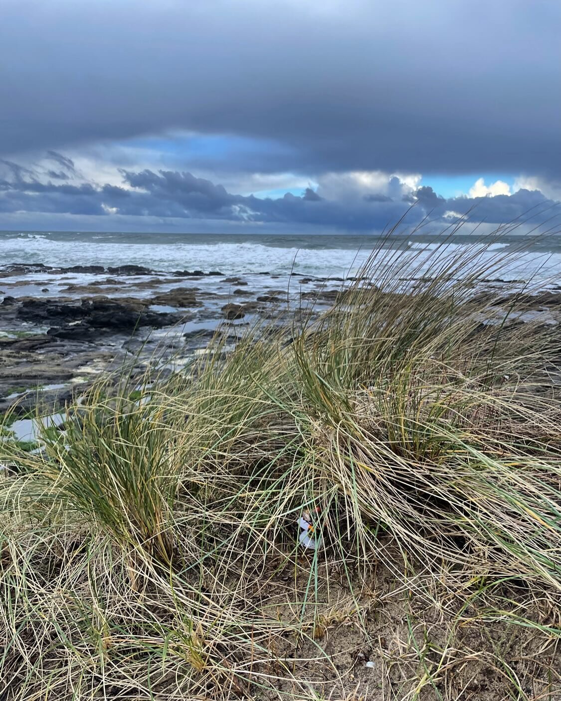 Yachats Mushroom Treasure Hunt

3/2/24 Mushroom Treasure Hunt Hint:
Yachats weather is always full of surprises. Wind, rain, hail, sun, snow. We get it all! Find a bench on Ocean View Dr to watch all the weather roll by. 

Responsible recreation is k