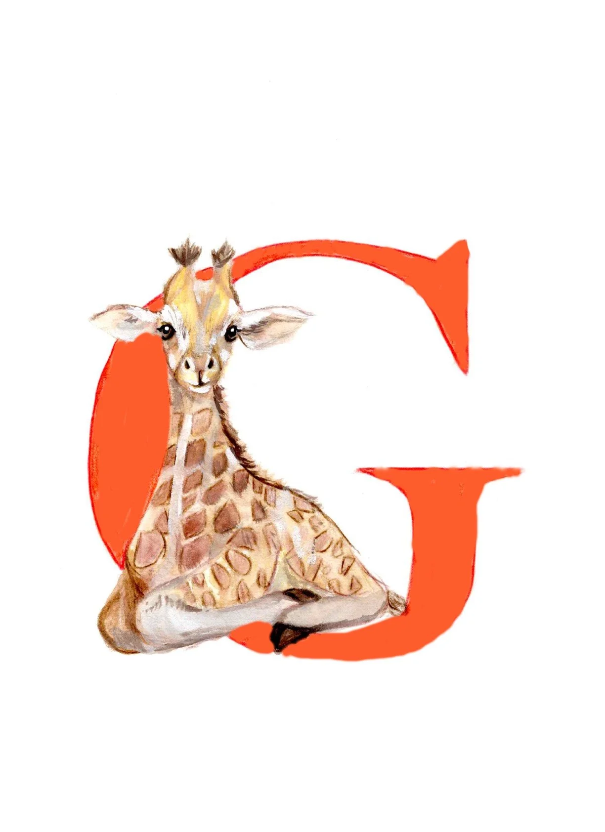 G-2.jpg