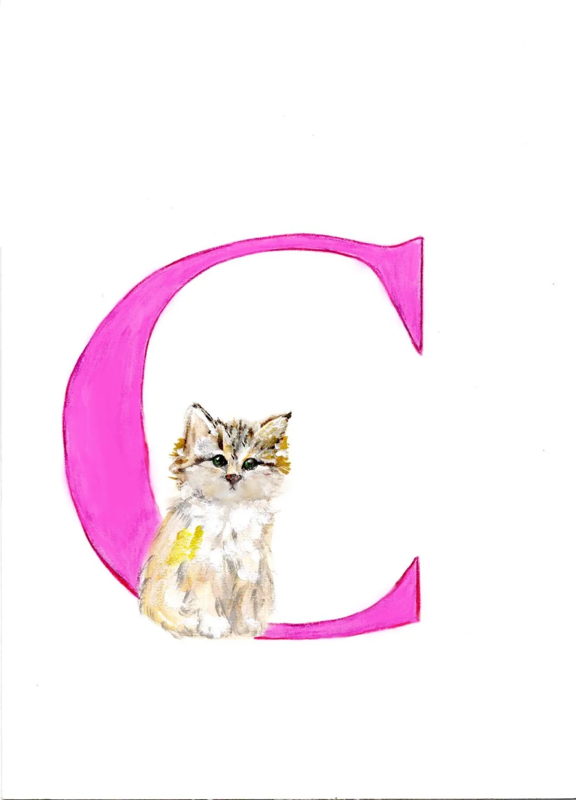 C.jpg
