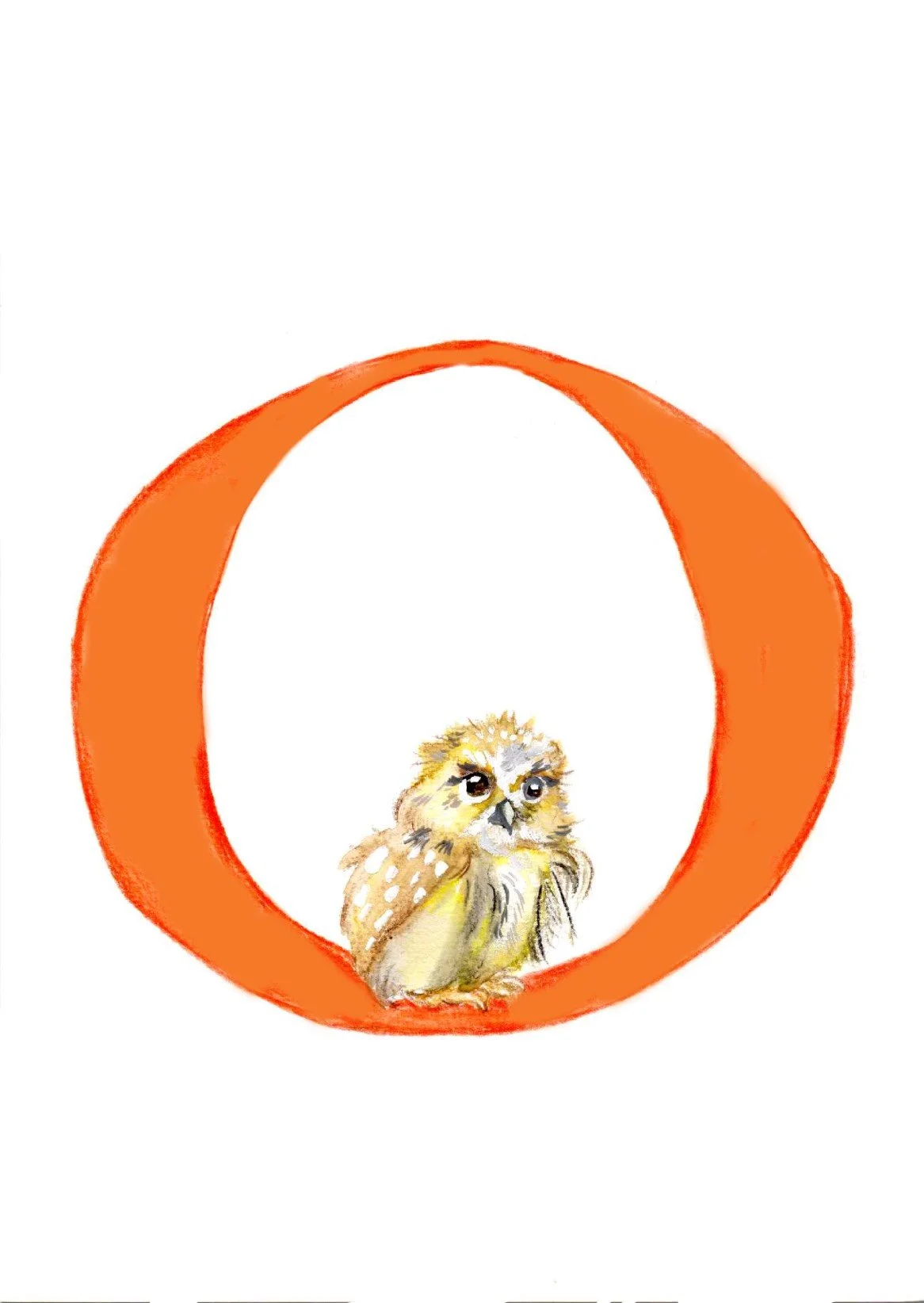 O-2.jpg