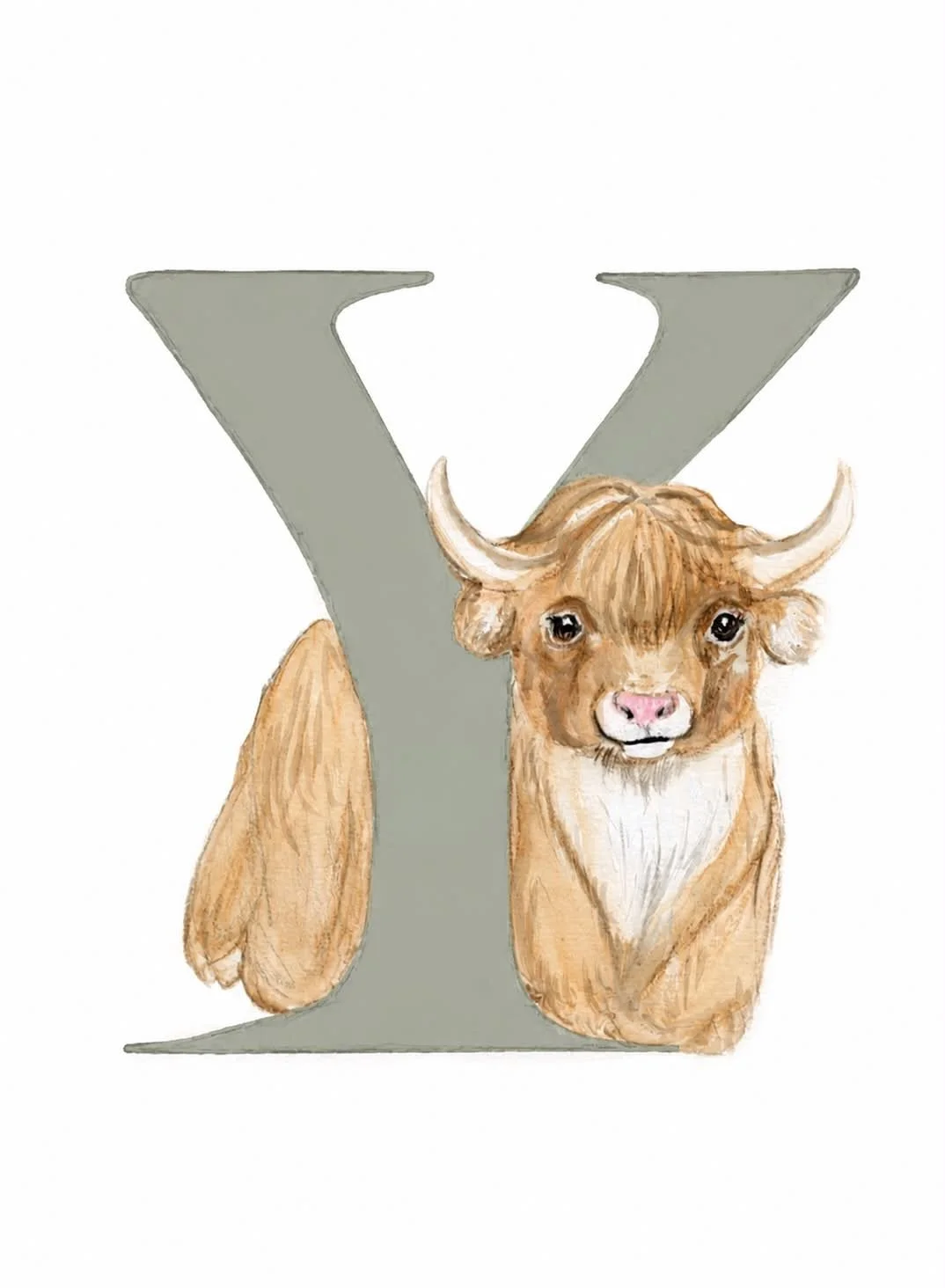 Y