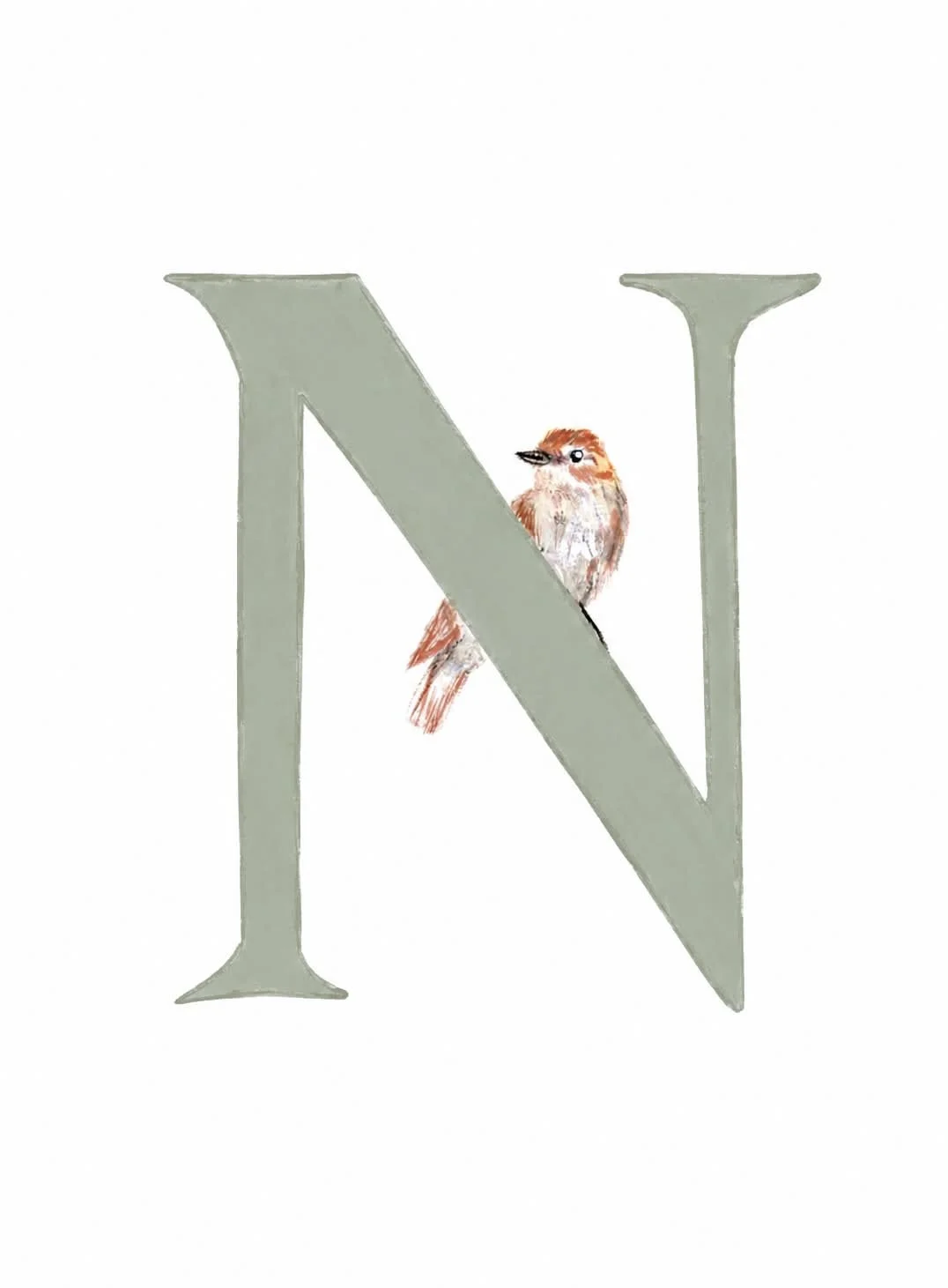 N