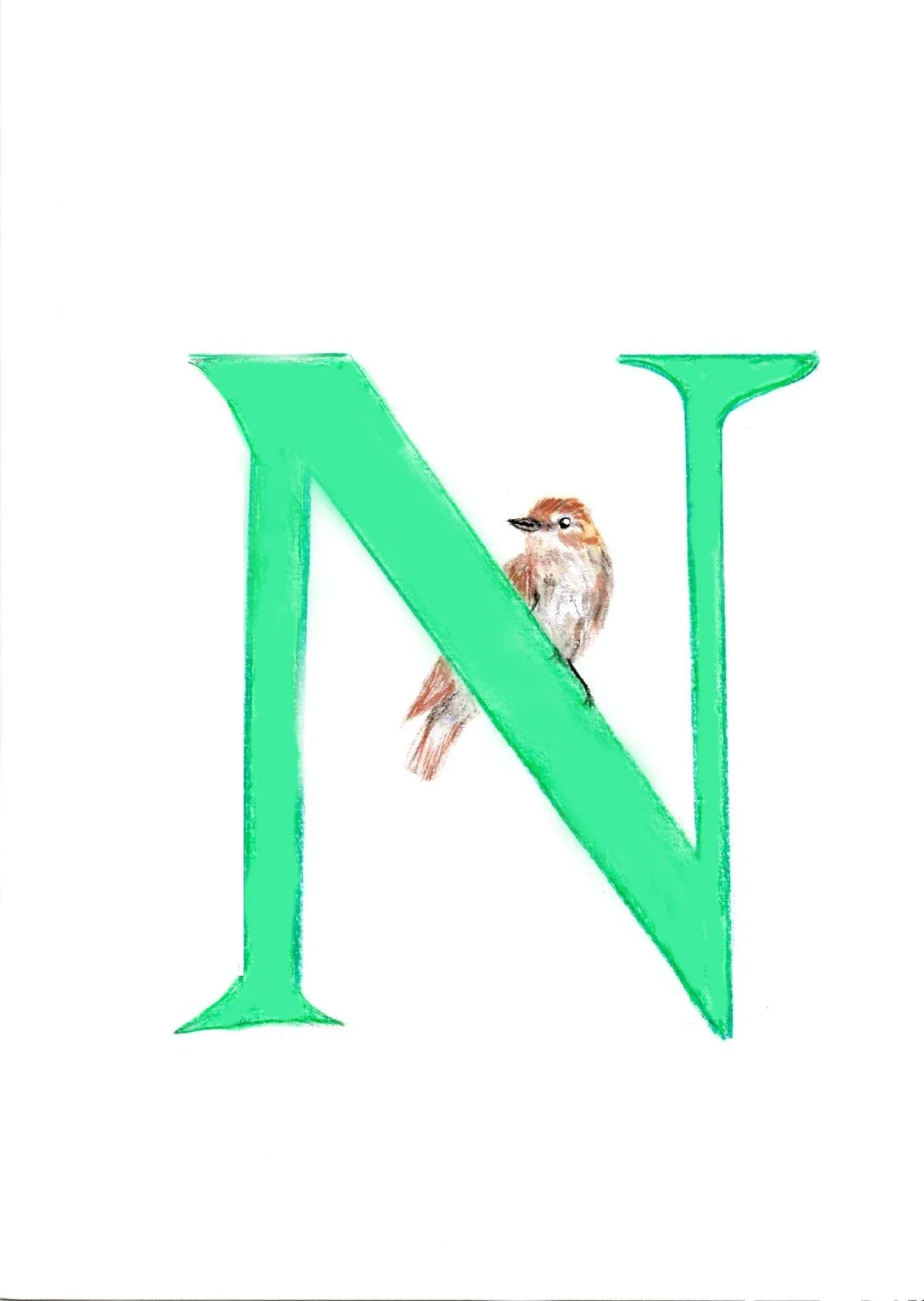N-2.jpg