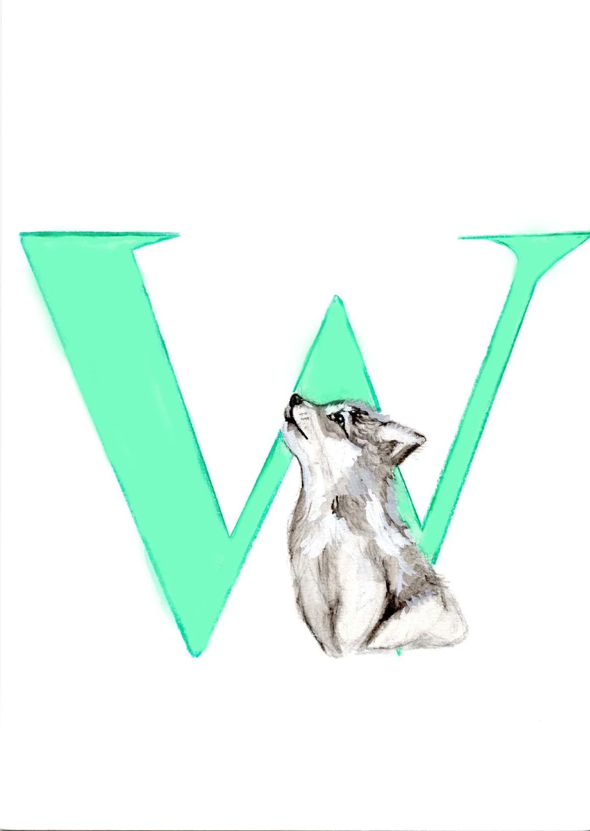W-2.jpg