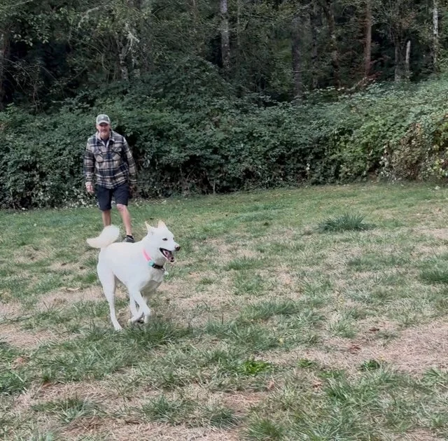 Pawsome Friends