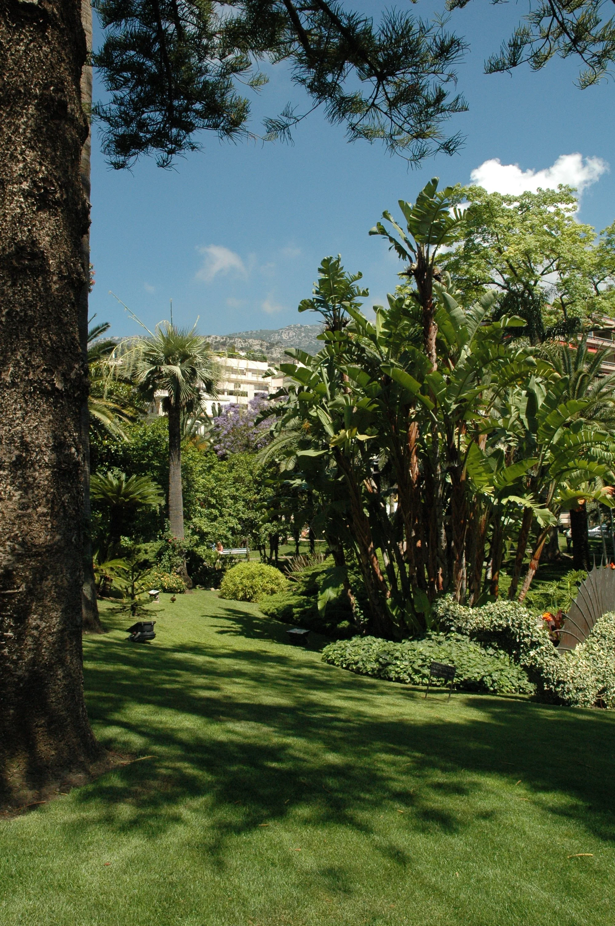DSC_0200.JPG