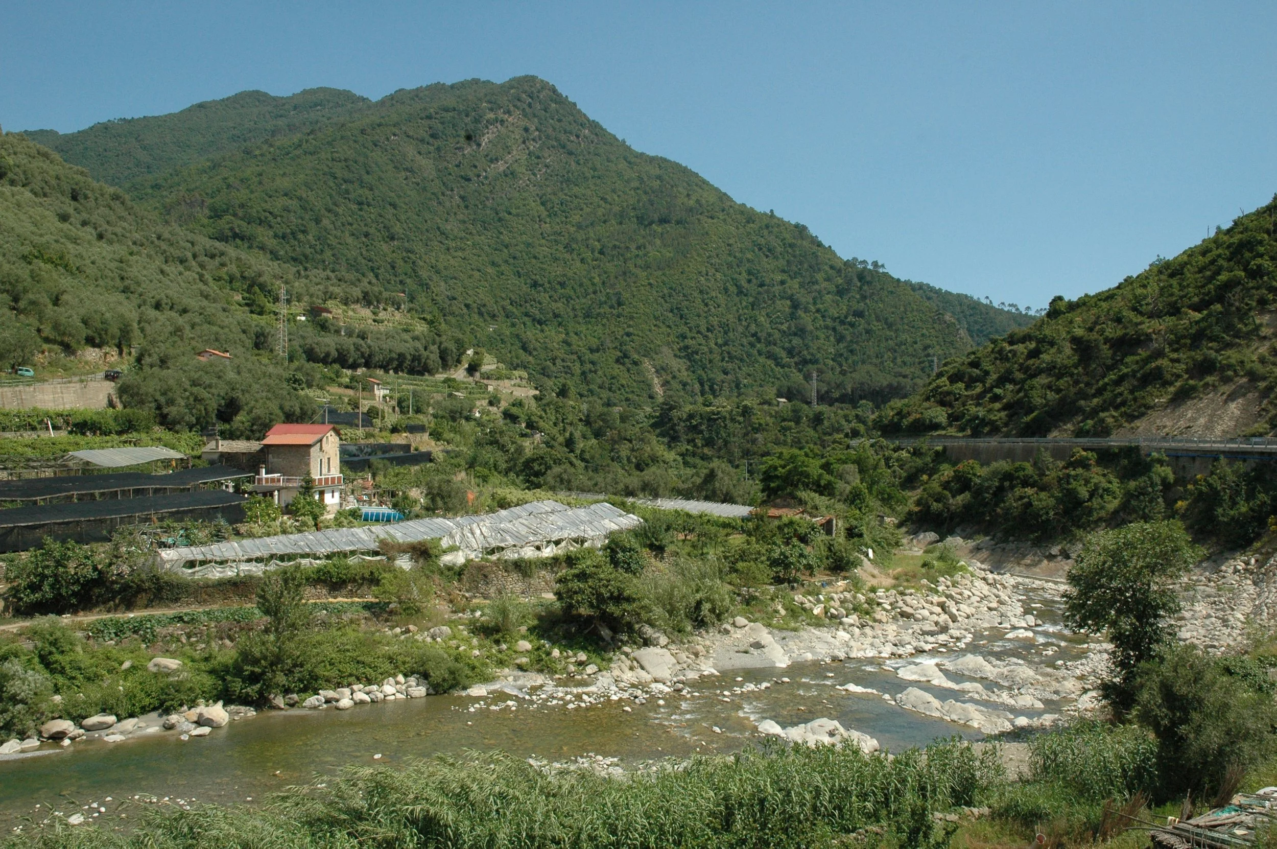 DSC_0231.JPG
