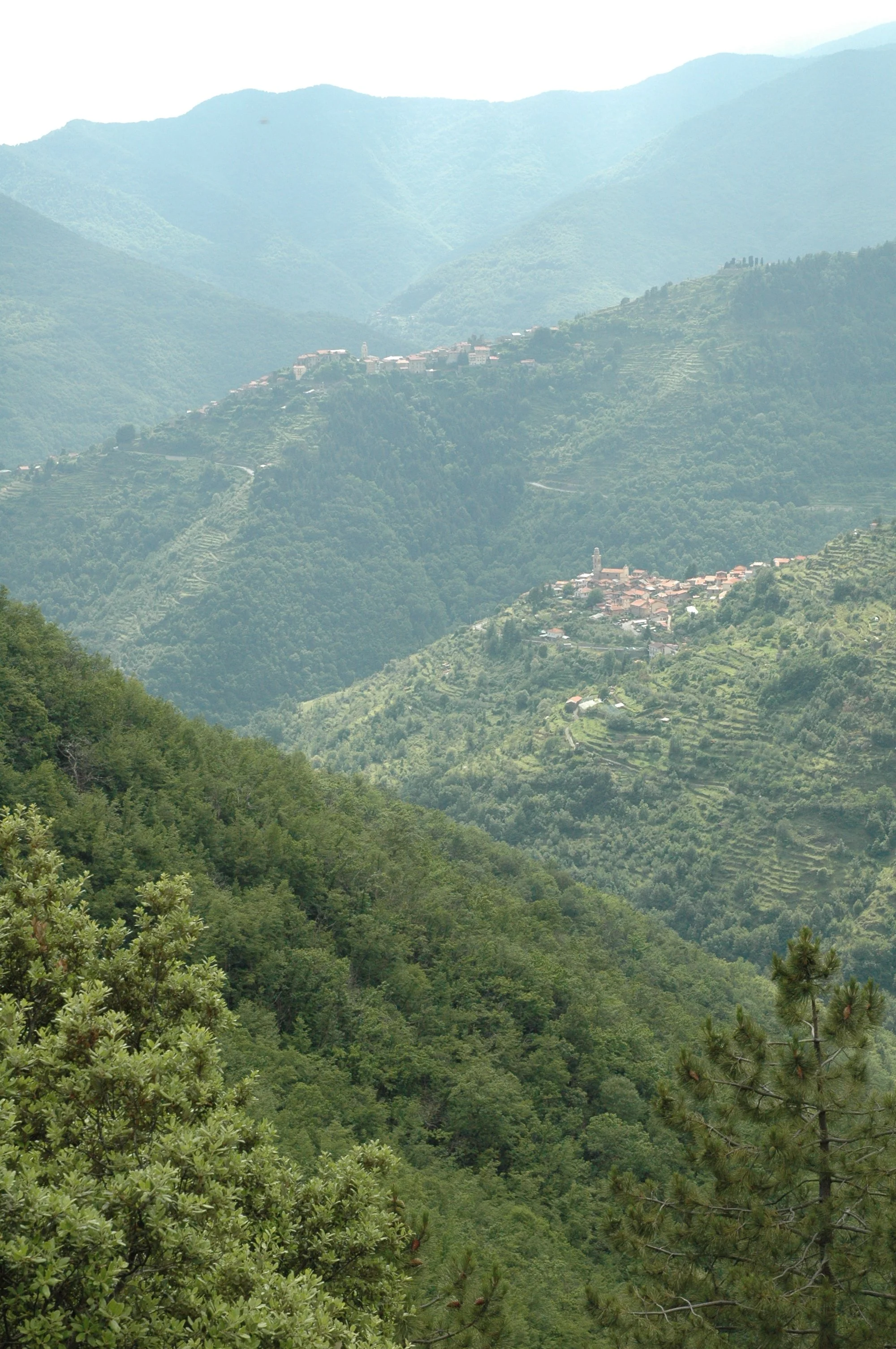 DSC_0246.JPG