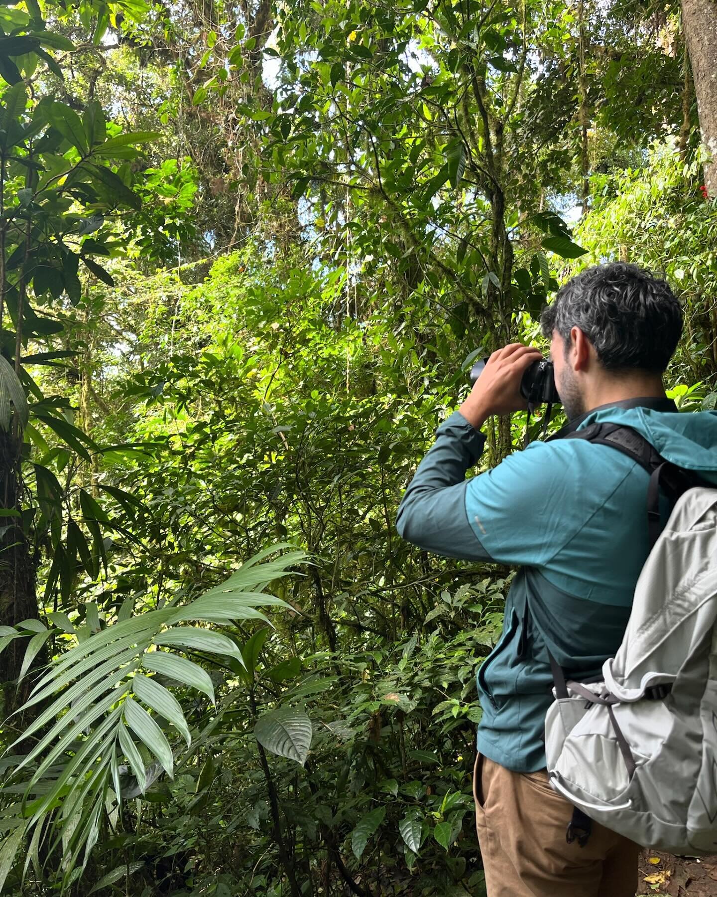 NEW BLOG POST! (link in profile)
Monteverde was a blustery, misty place, teeming with flora and fauna&mdash;snakes, monkeys, and coatis, oh my! Read about my adventures in the cloud forests of Costa Rica at leavingsanity.ca
.
.
.
#travel #travelphoto