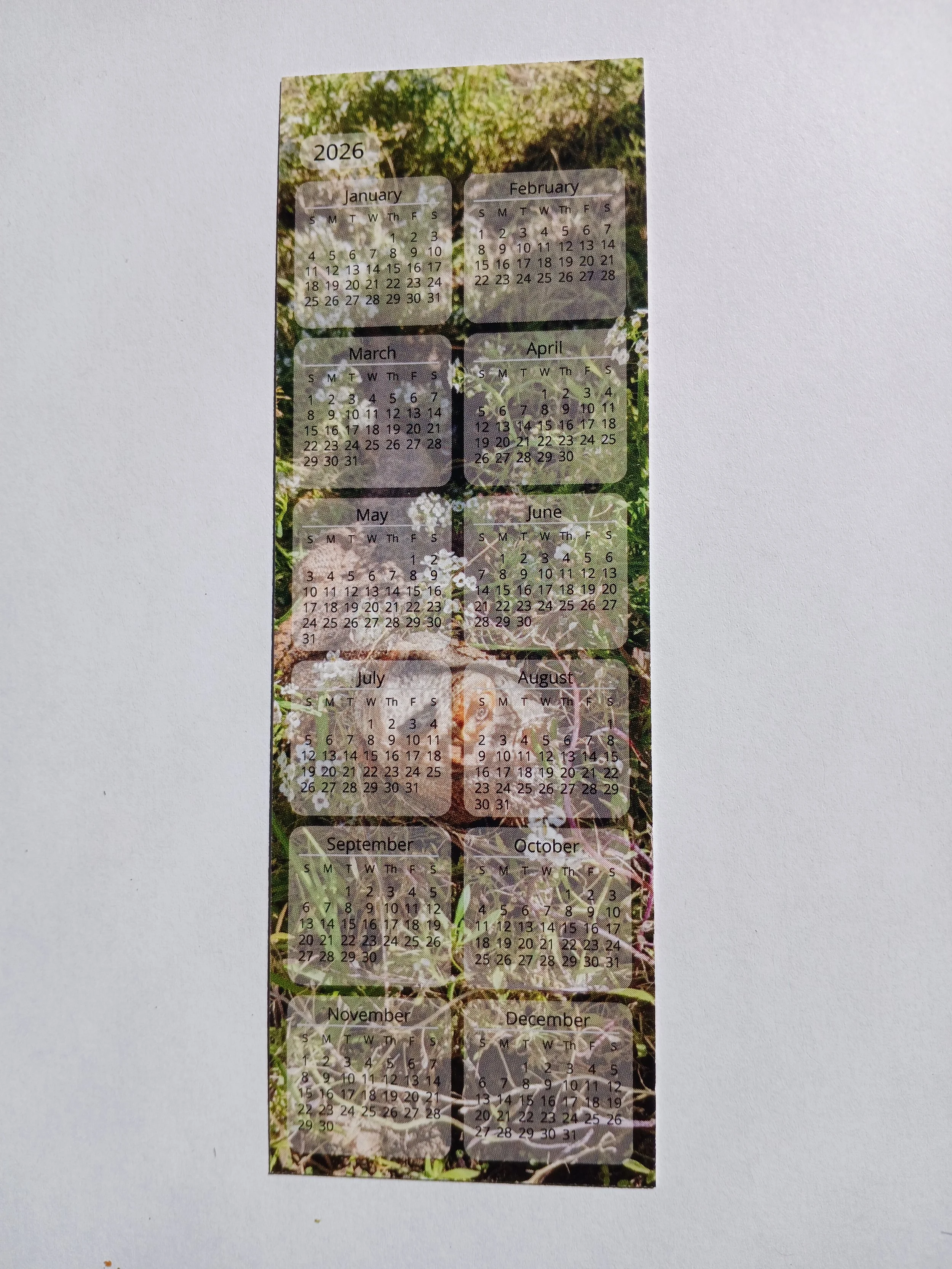 Lizard in Flowers/ Logo Calendar Bookmark