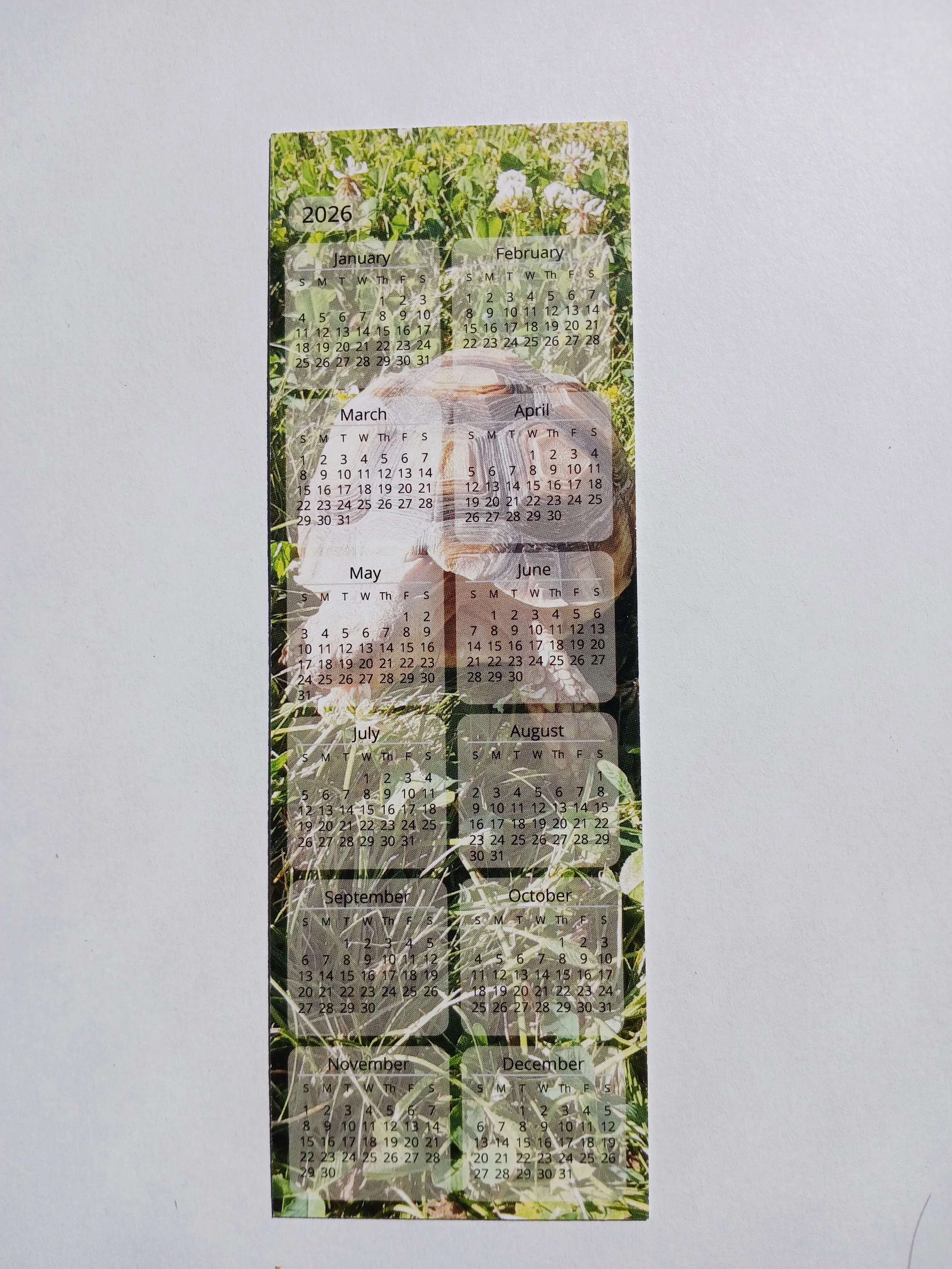 Tortie Side 2 Calender Bookmark.jpg