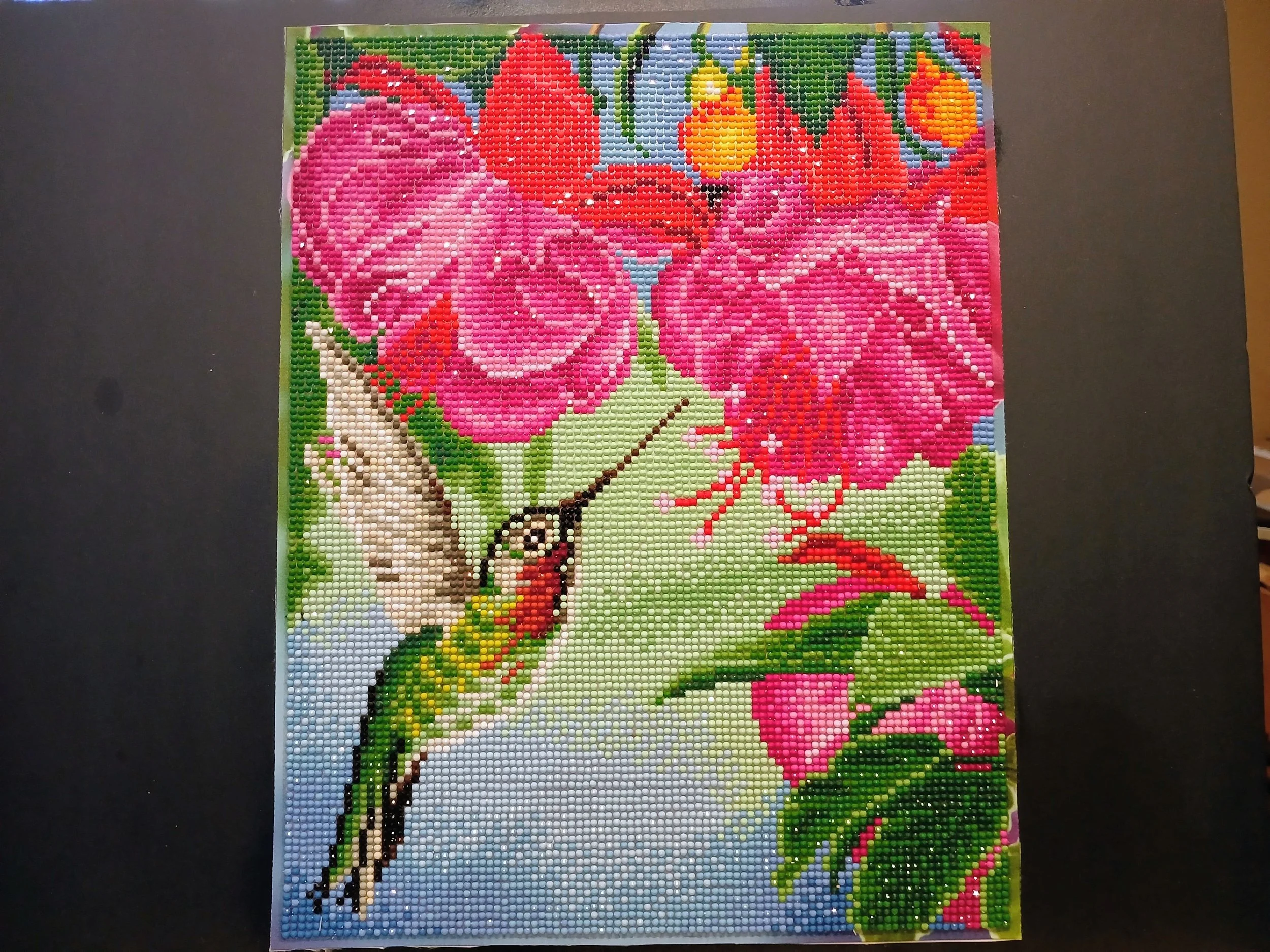 Hummingbird Diamond Art