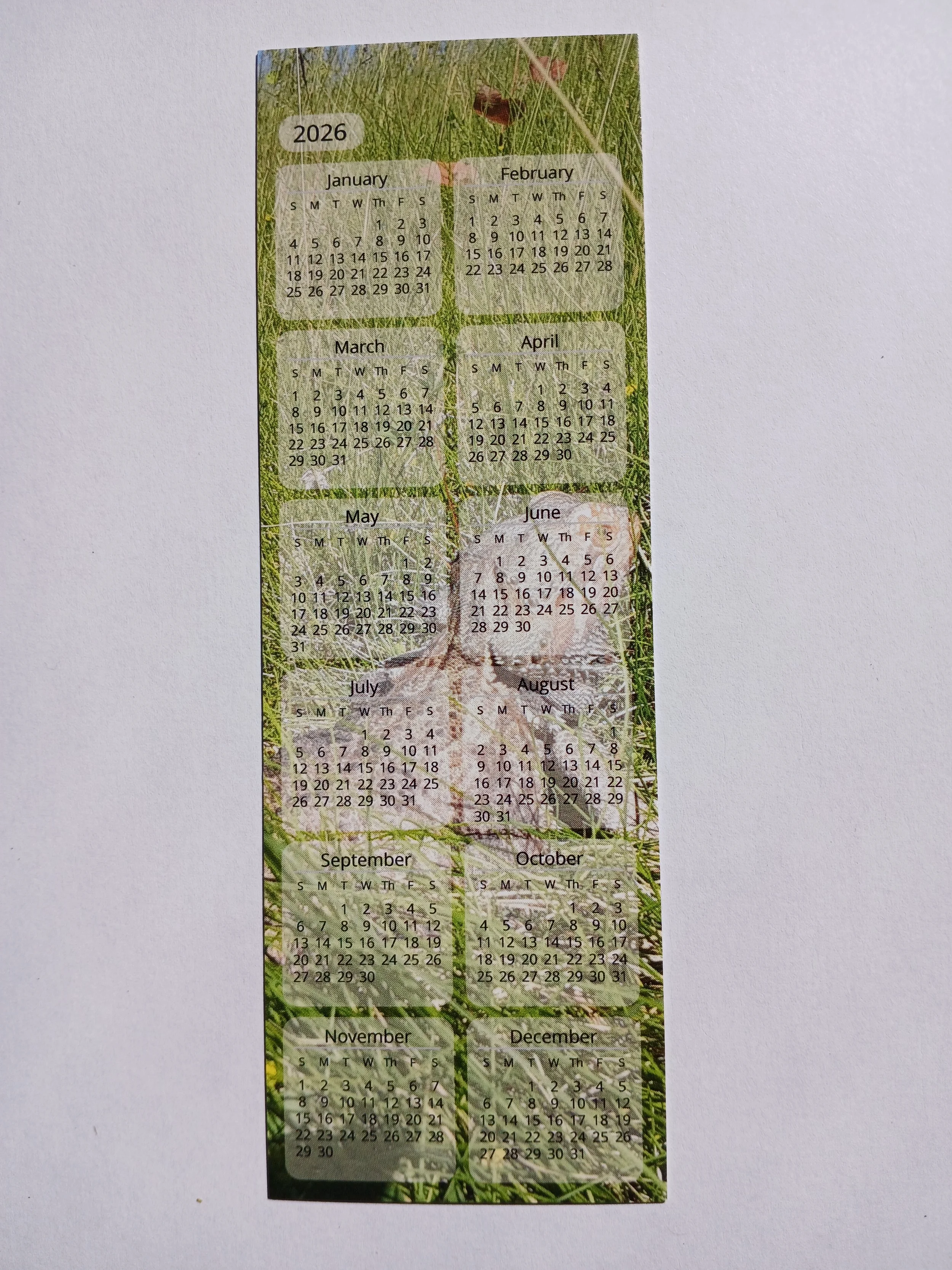 Lizard in grass/ Tortoise in grass in Calender Bookmark