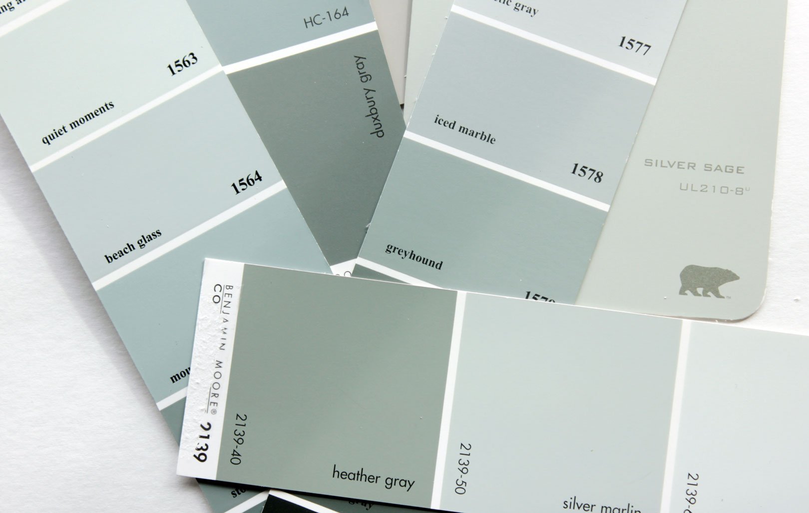 dusty-sage-paint-swatches.jpg