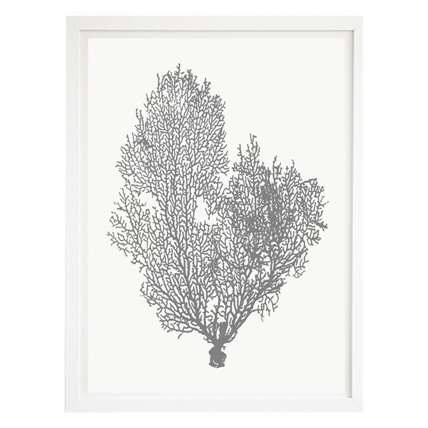 Natural-Coral-Framed-Print.jpeg