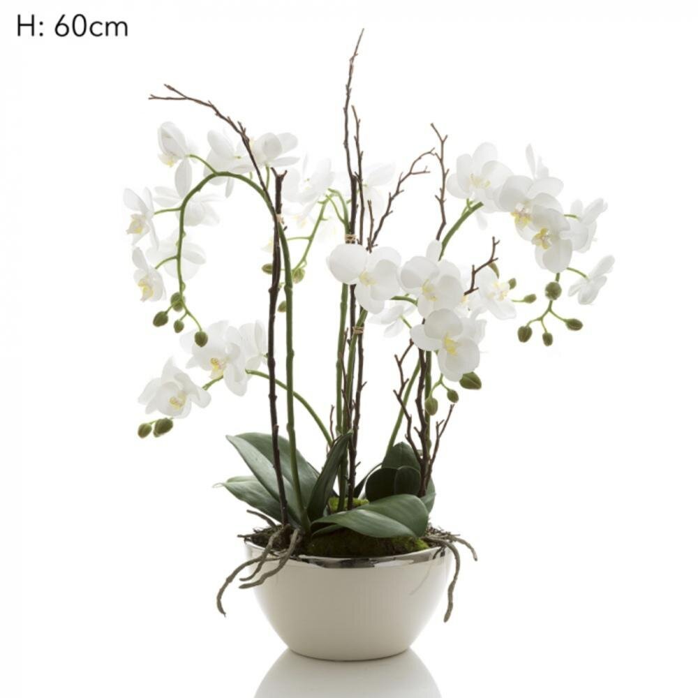 orchid-in-silver-pot.jpeg